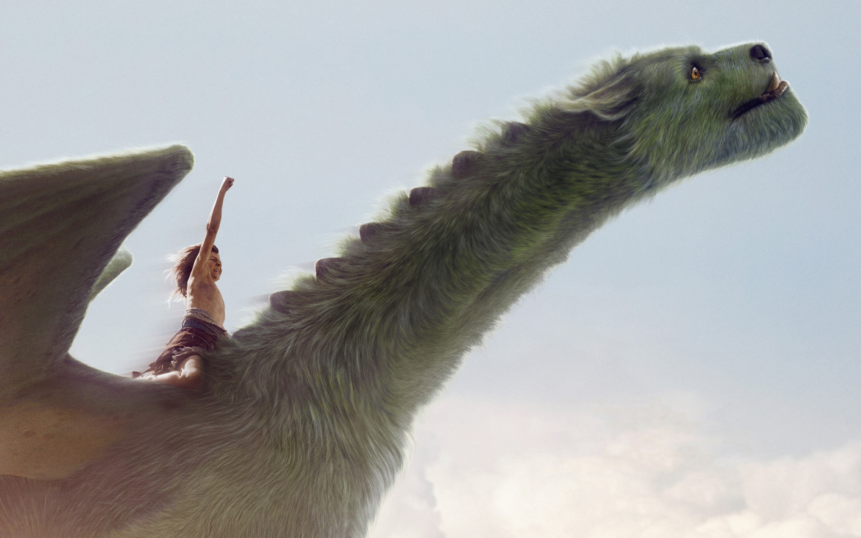 petes dragon, 2016 movies, movies, dragon, HD Wallpaper