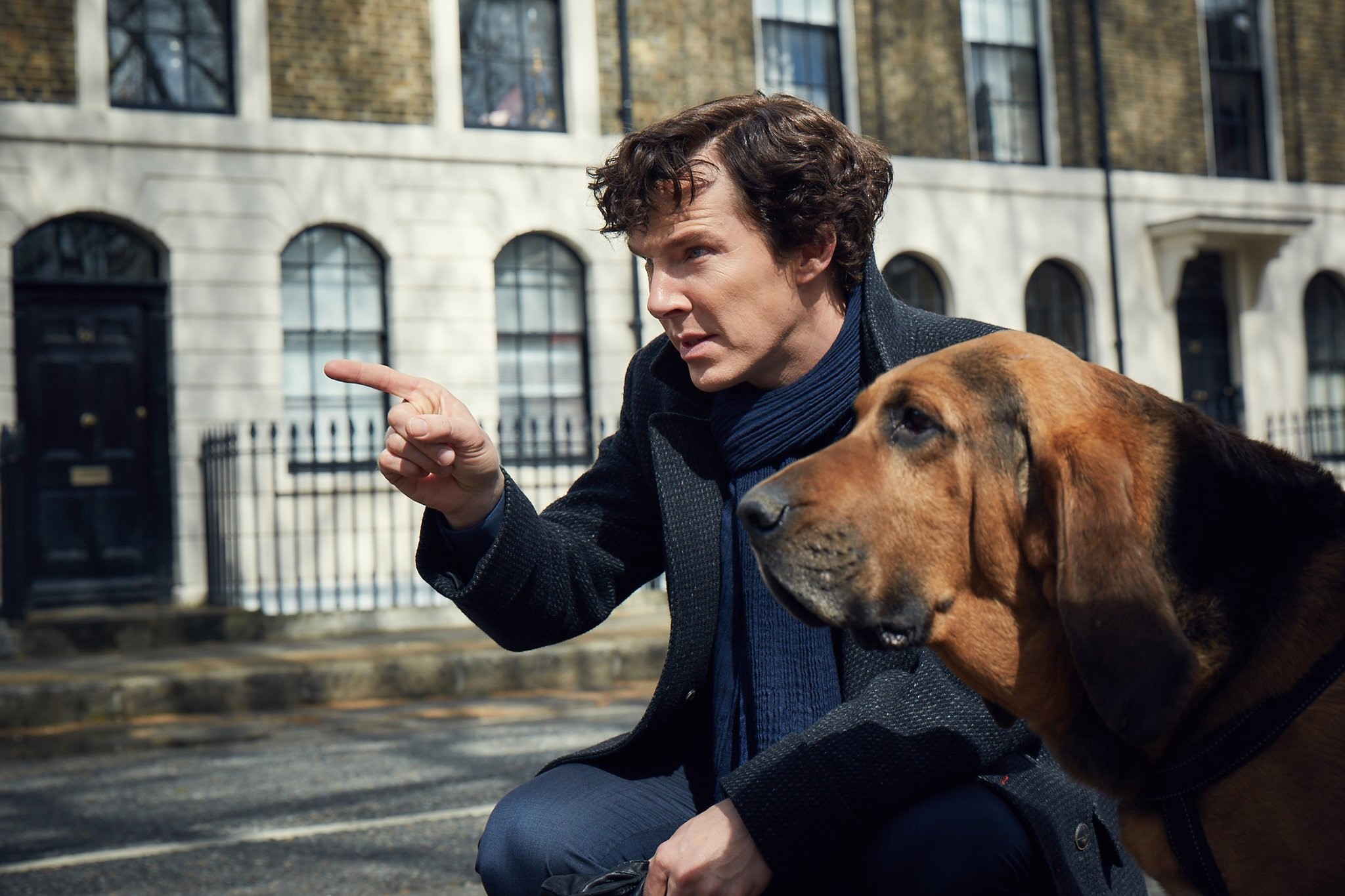 benedict cumberbatch, sherlock, tv shows, dog, HD Wallpaper