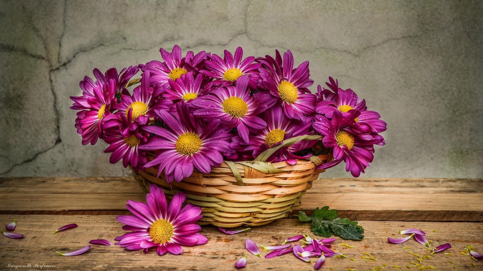 flowers, HD Wallpaper