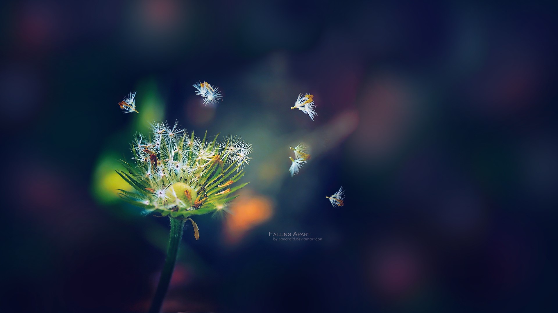 artist, deviantart, HD Wallpaper