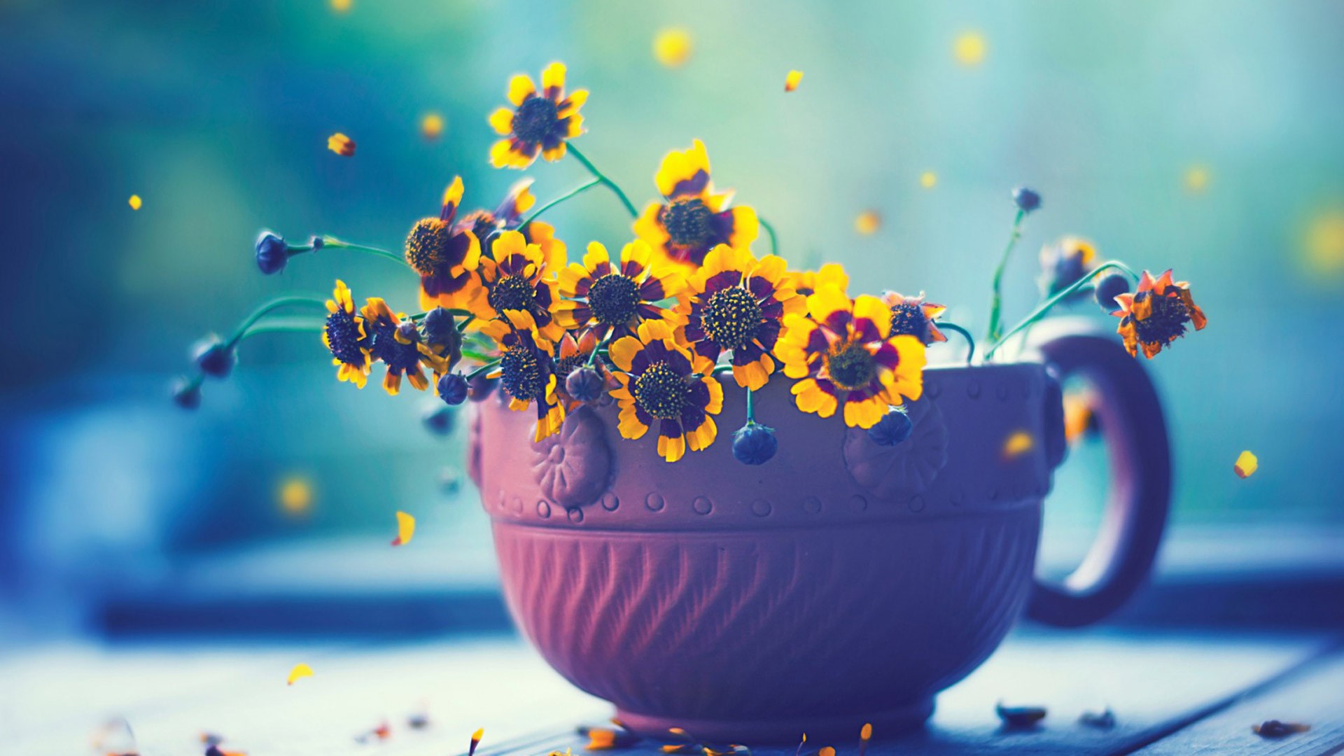 cup, flowers, HD Wallpaper