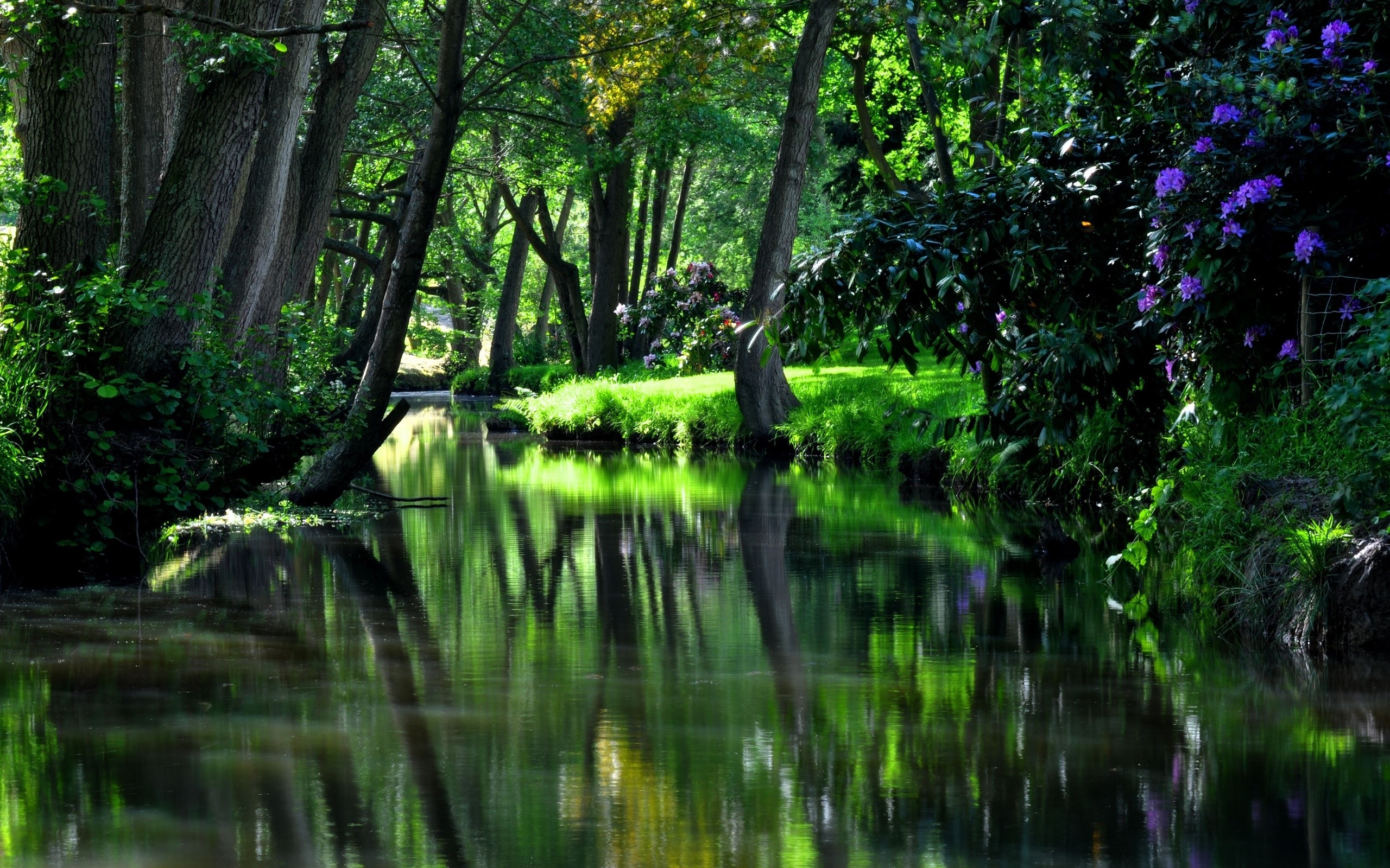 garden, nature, river, HD Wallpaper