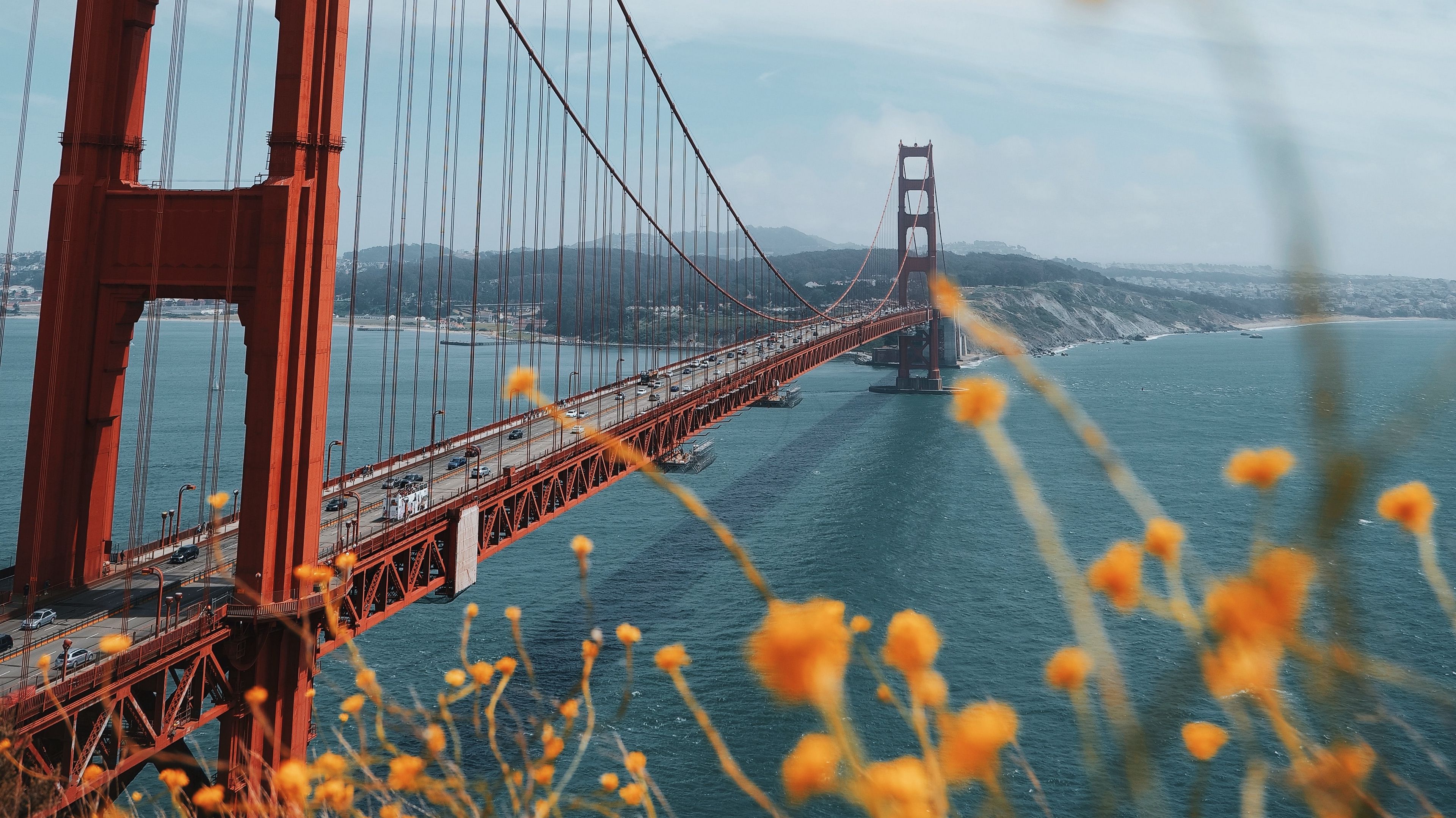 bridge, water, shore, flowers, nature, 4k, HD Wallpaper