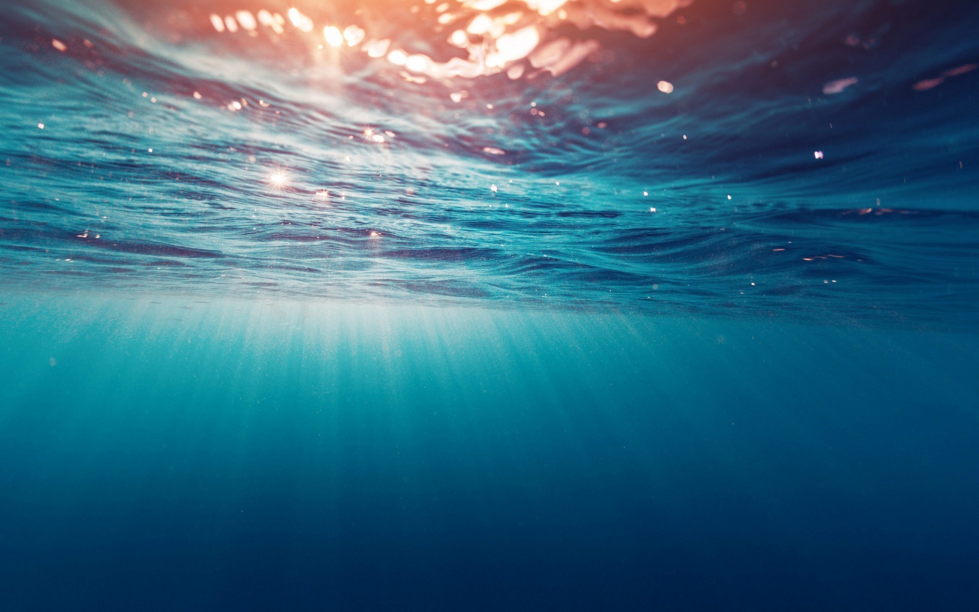 underwater, sea, nature, HD Wallpaper