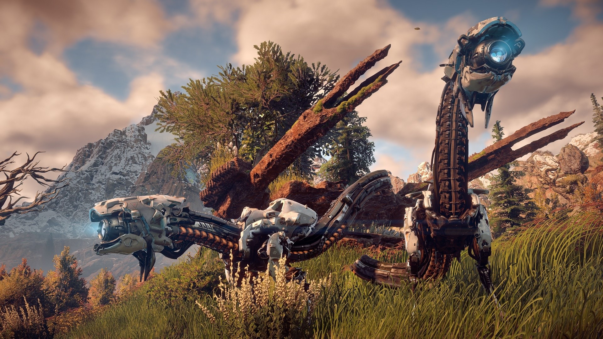 horizon zero dawn, games, pc games, xbox games, ps games, HD Wallpaper