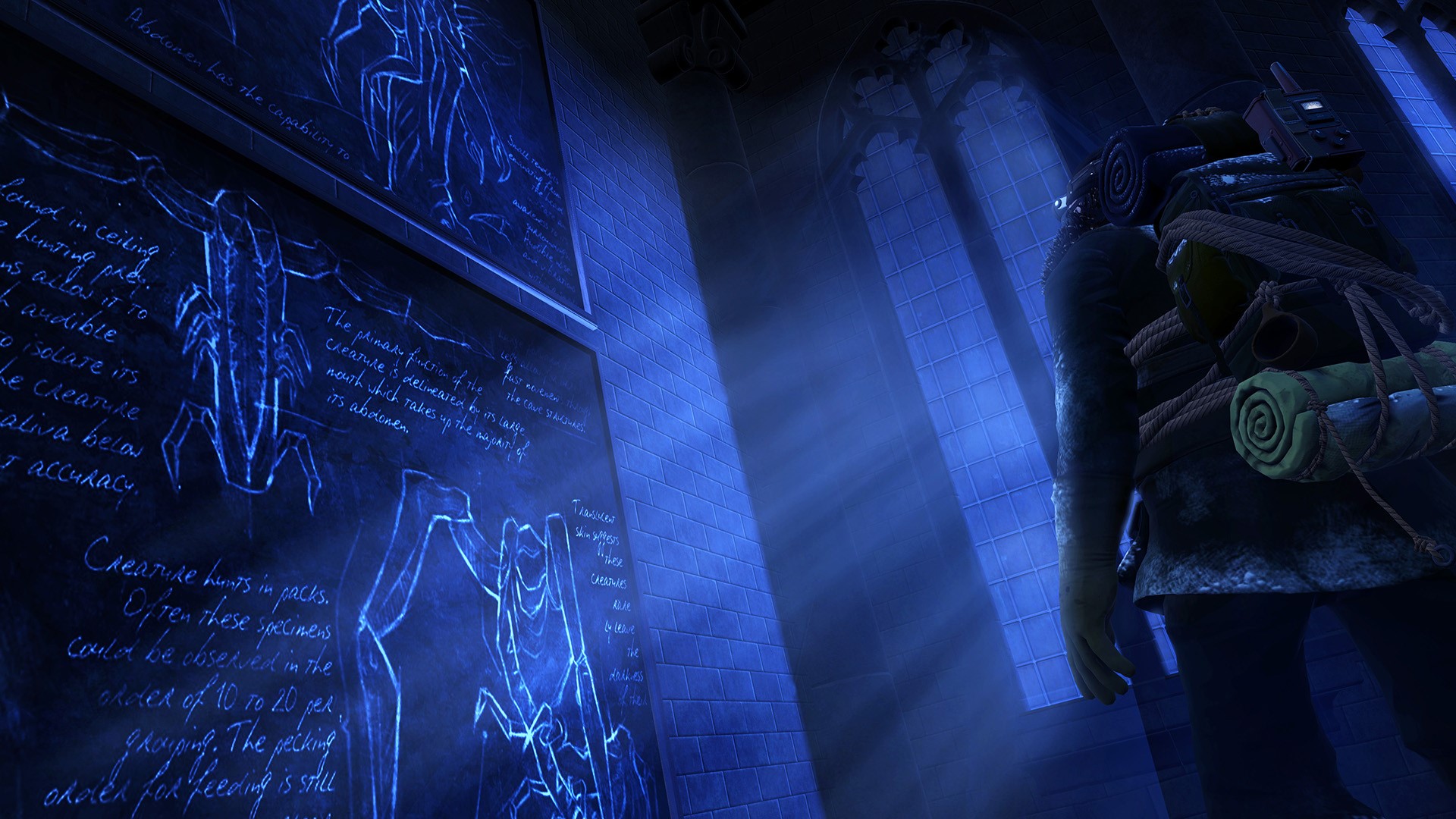 edge of nowhere, games, oculus rift, HD Wallpaper