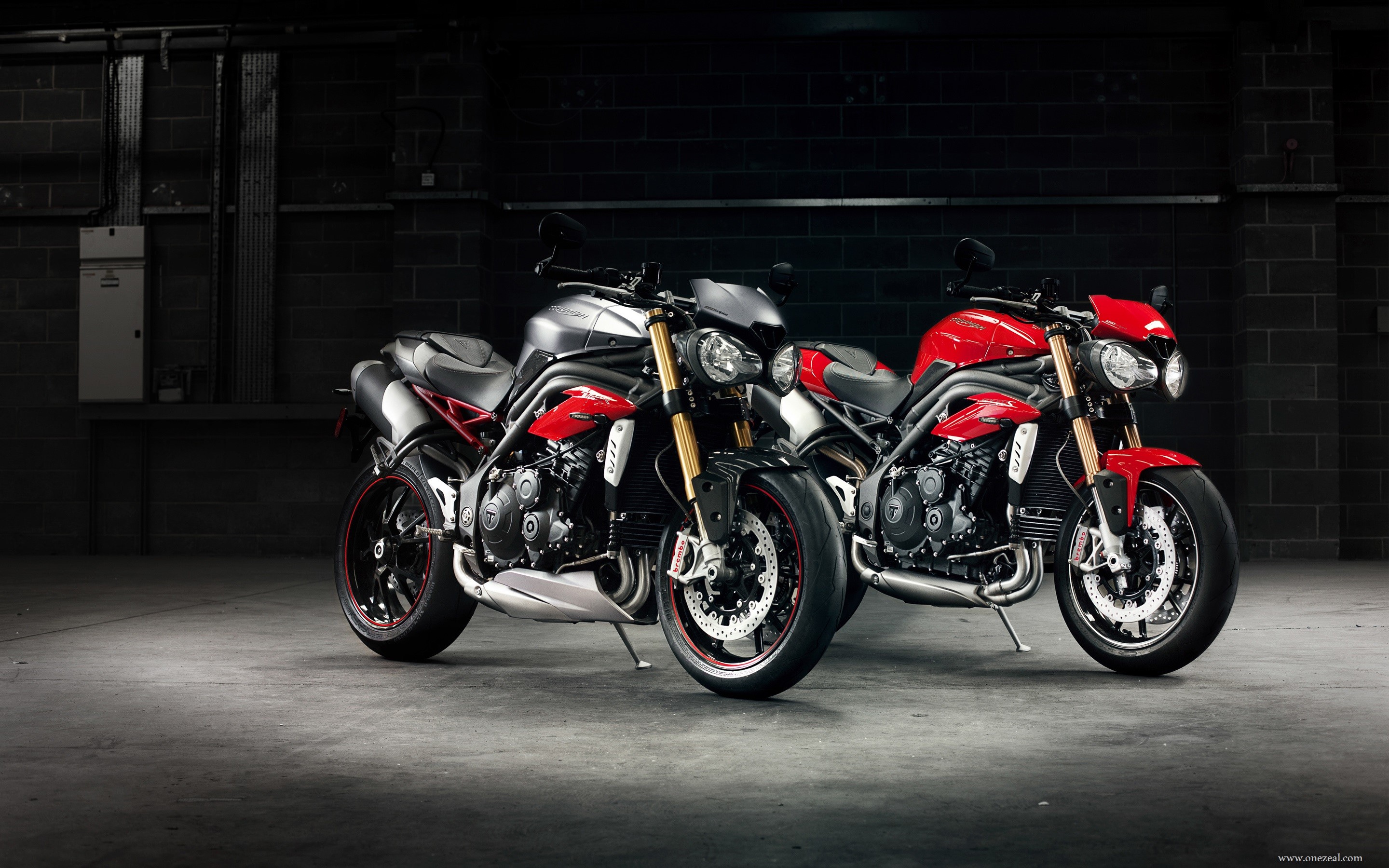 triumph, bikes, HD Wallpaper