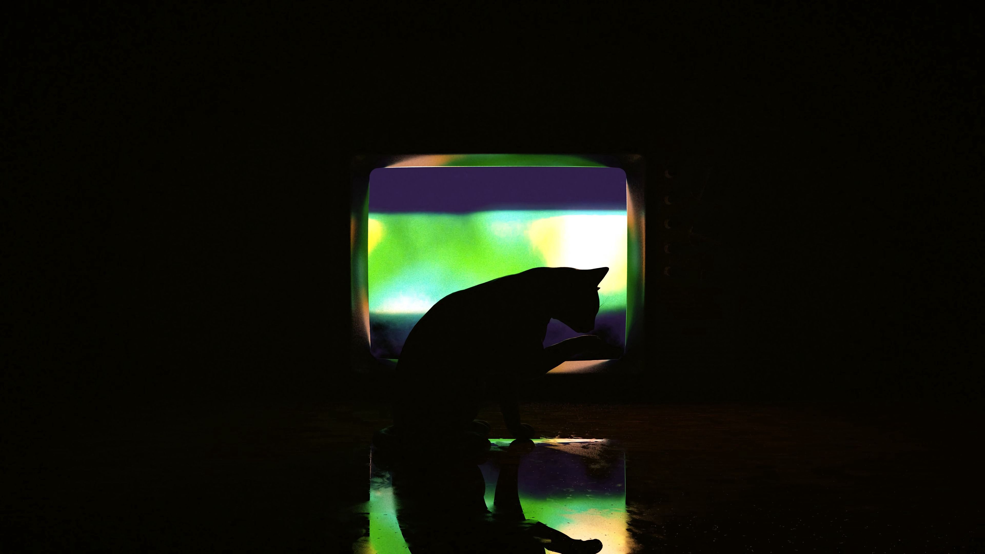 cat, dark, silhouette, darkness, art, 4k, HD Wallpaper