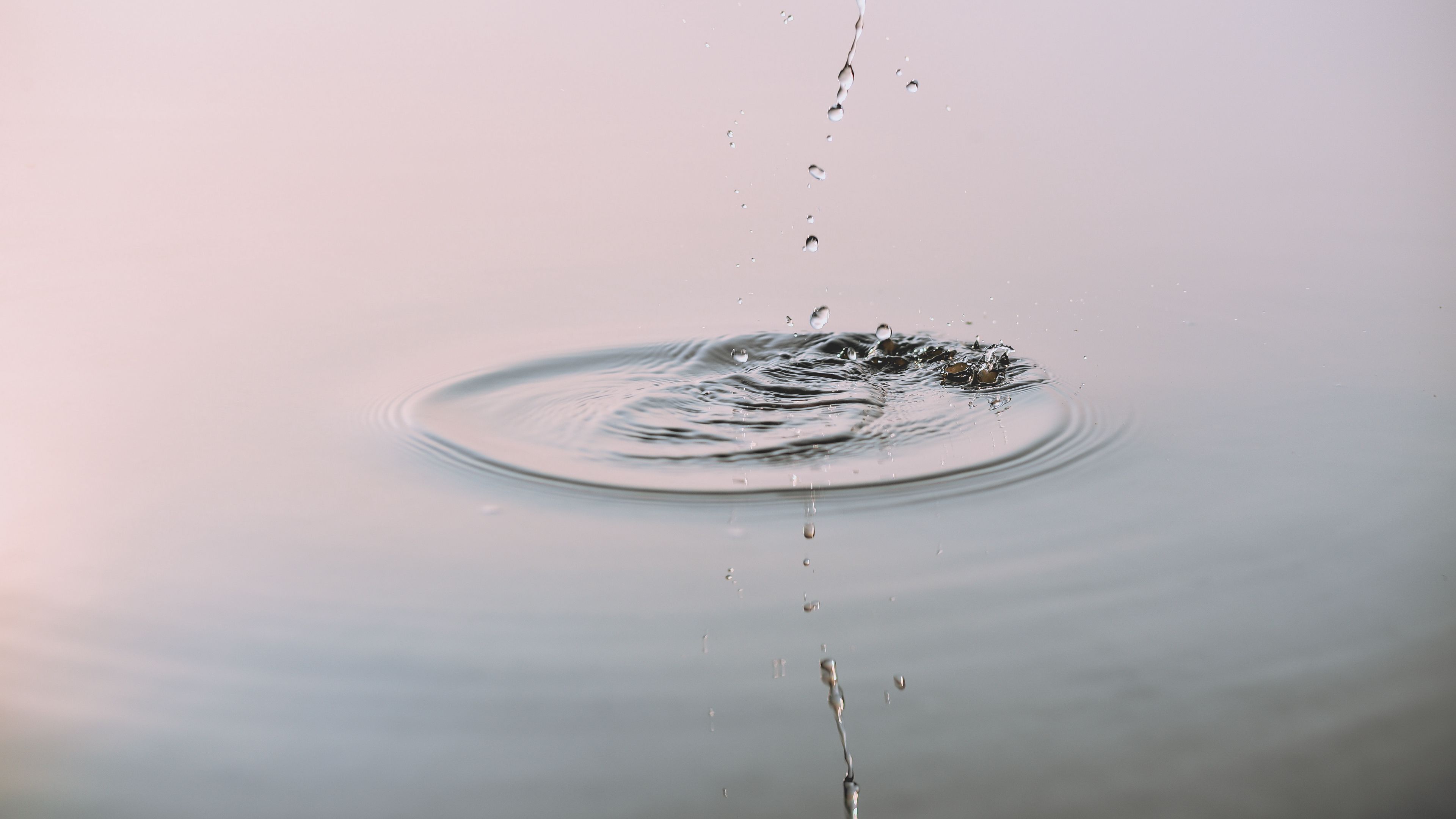 splashes, splash, macro, drops, water, 4k, HD Wallpaper