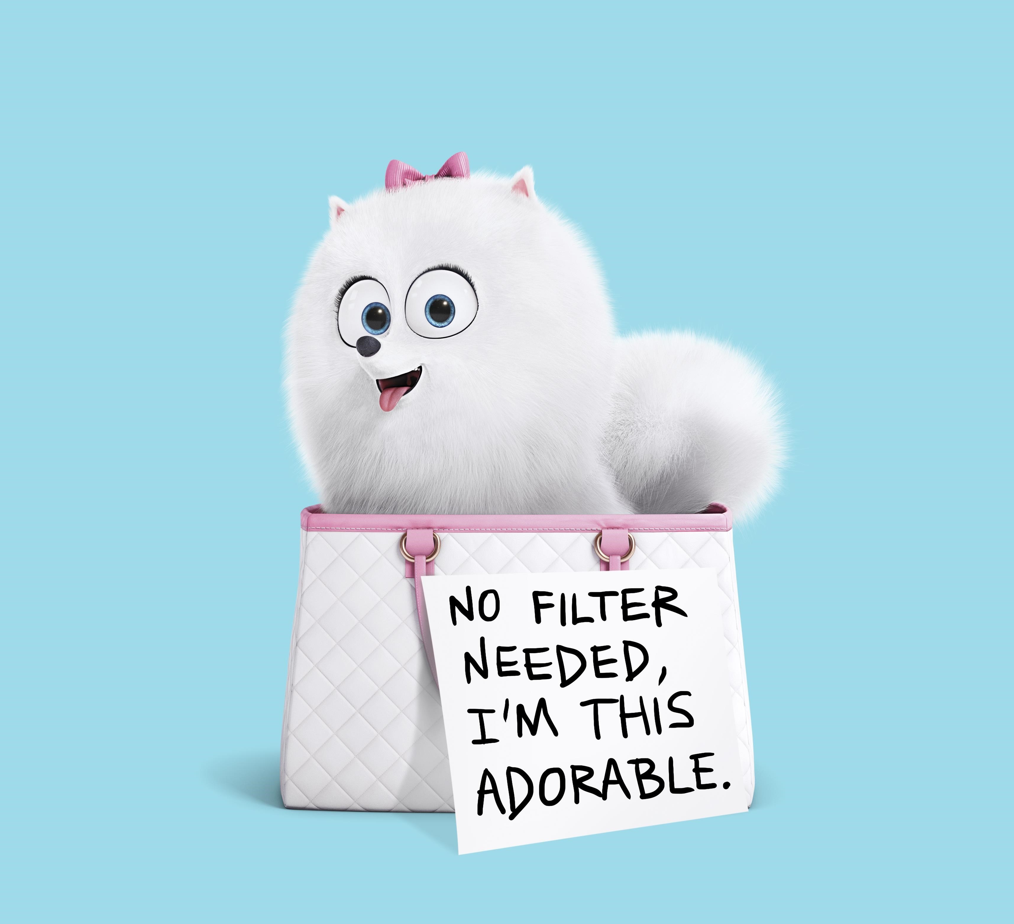 the secret life of pets, movies, animated movies, cartoons, 2016 movies, HD Wallpaper