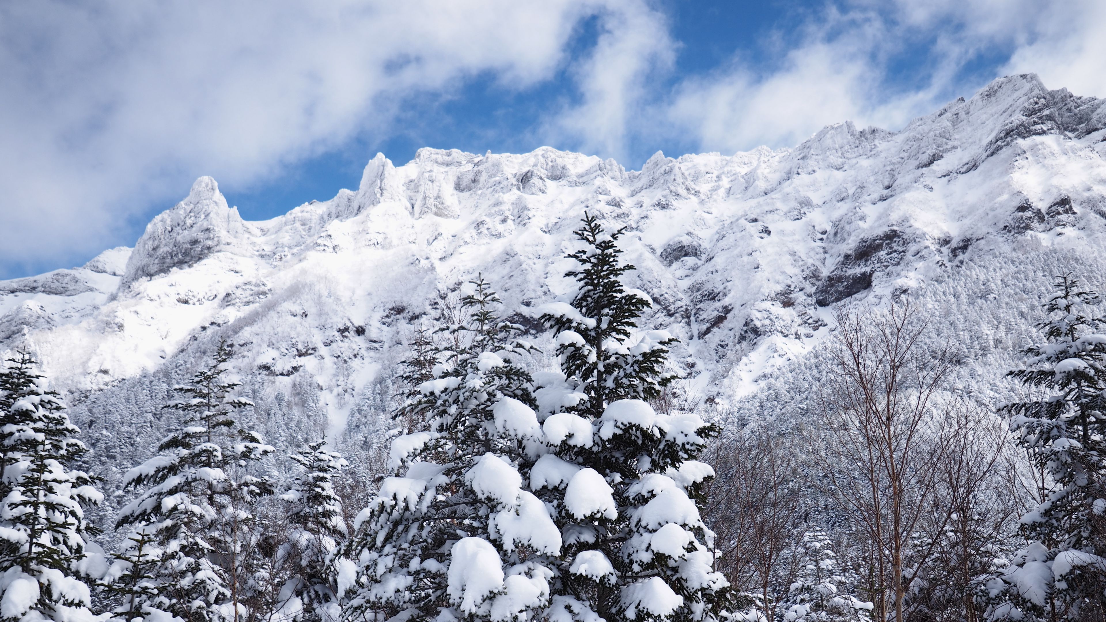 mountains, snow, trees, landscape, winter, 4k, HD Wallpaper