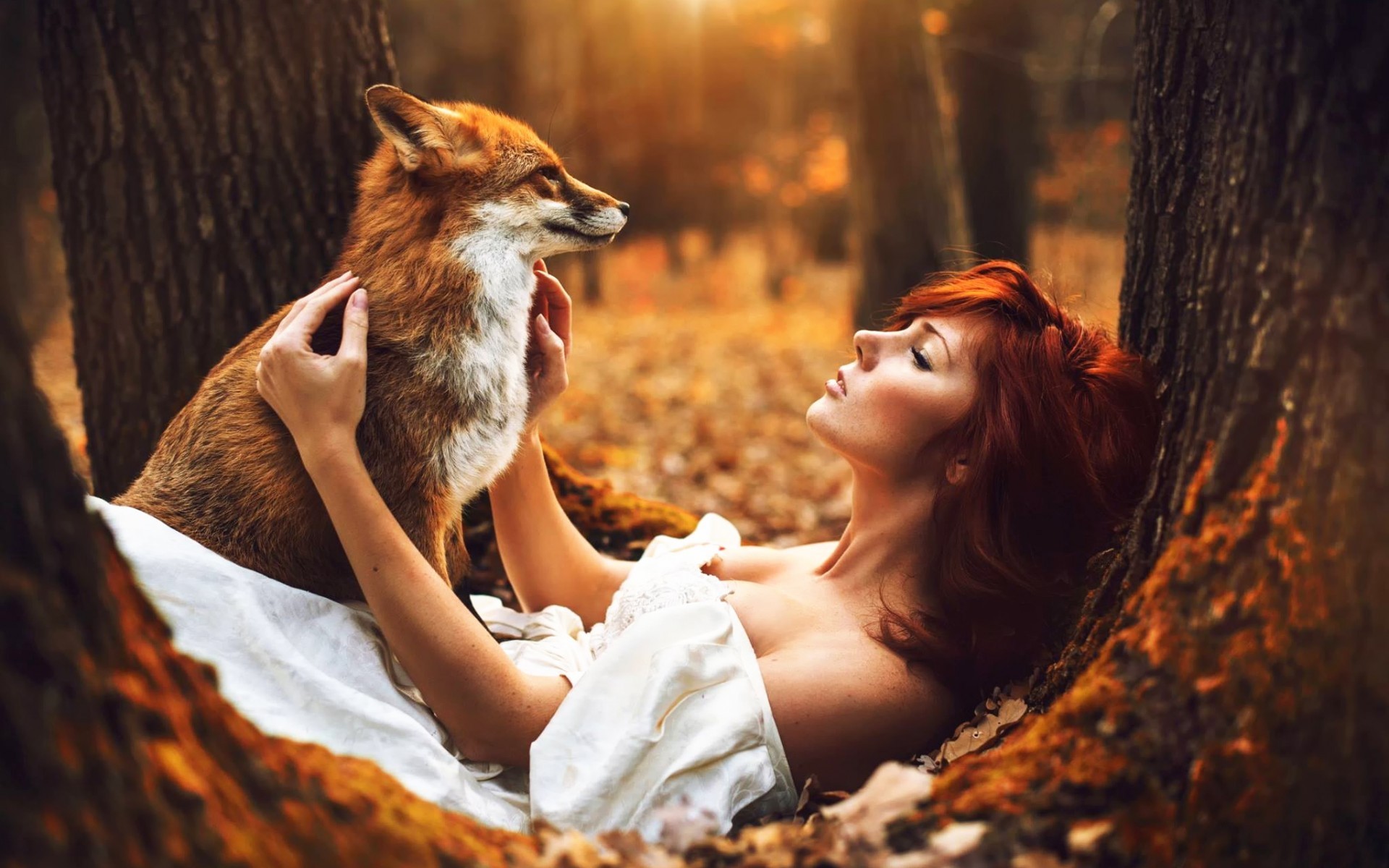 redhead, girls, fox, animals, HD Wallpaper