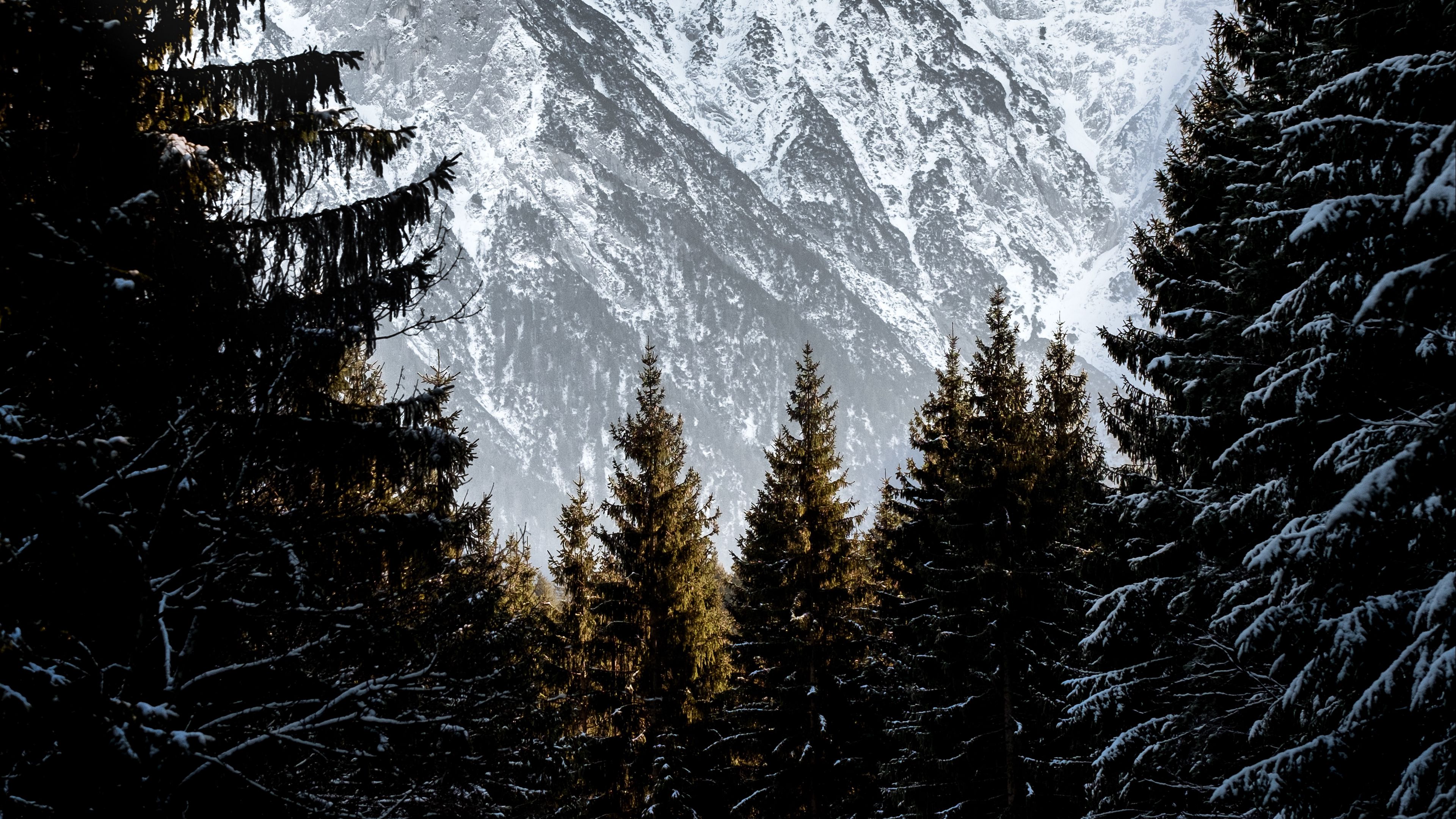 mountains, trees, snow, landscape, winter, 4k, HD Wallpaper