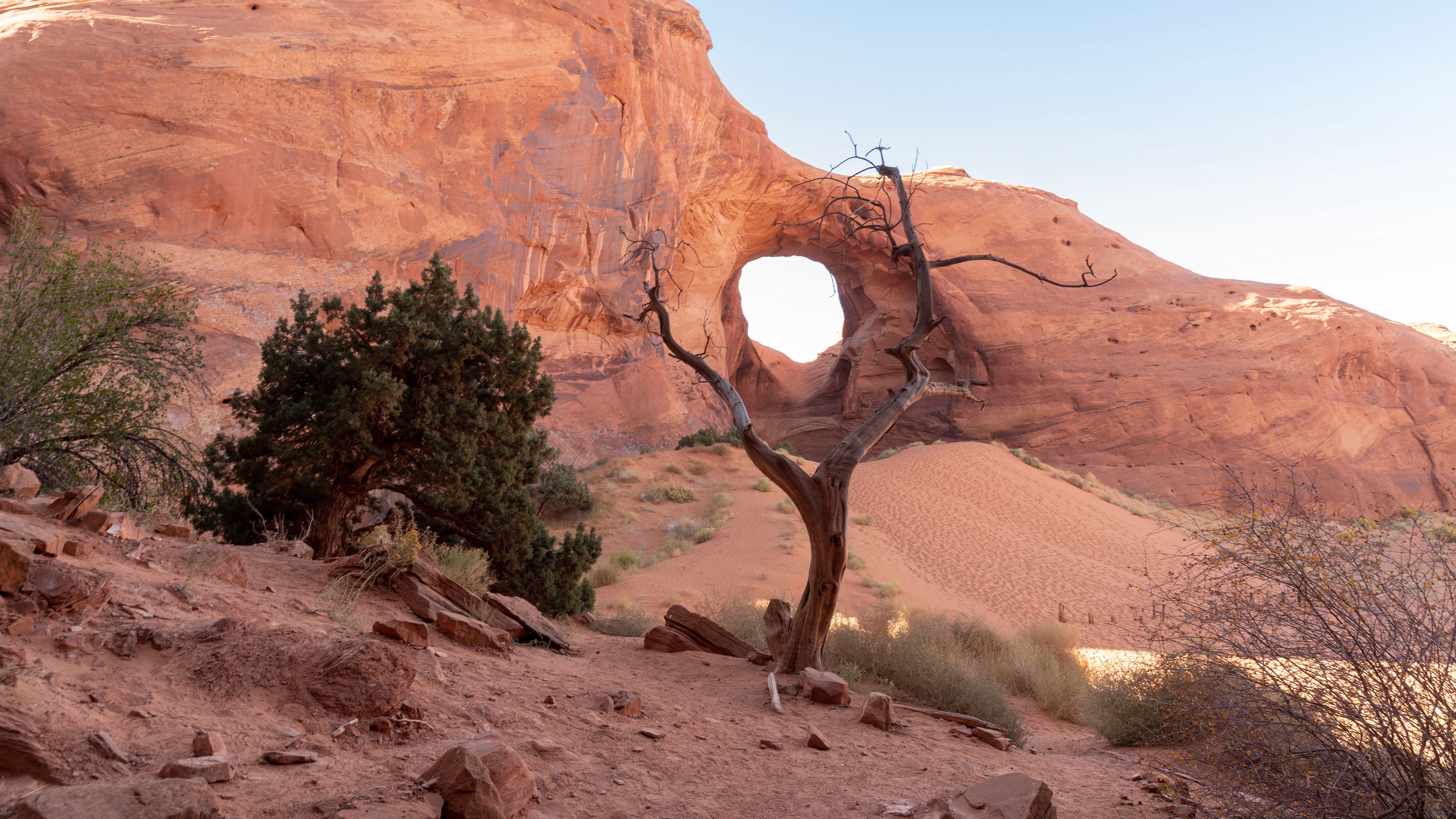 rock, desert, trees, stones, sand, 4k, HD Wallpaper