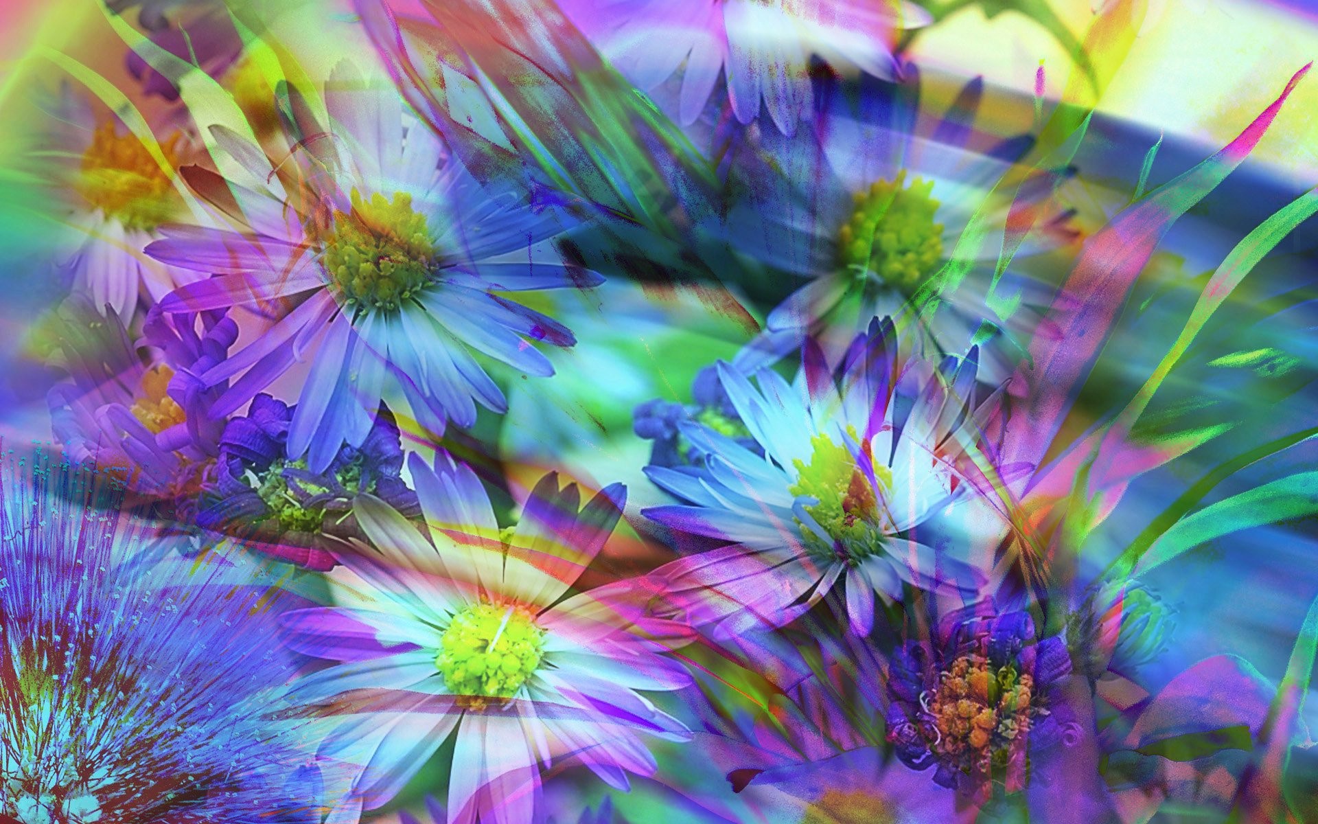 spring, flowers, abstract, HD Wallpaper
