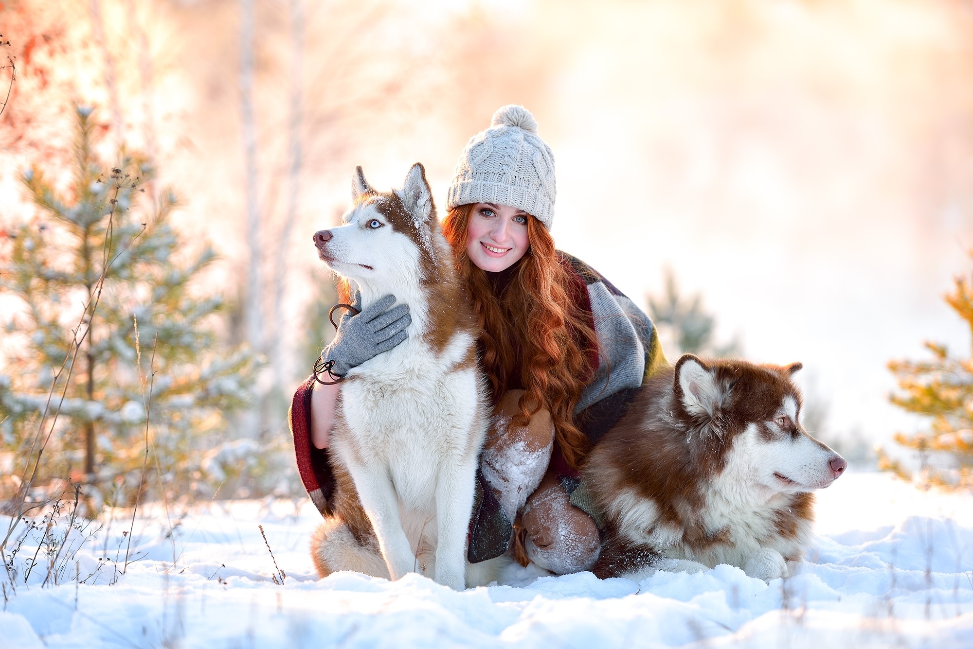 siberian husky, animals, dog, girls, snow, redhead, HD Wallpaper
