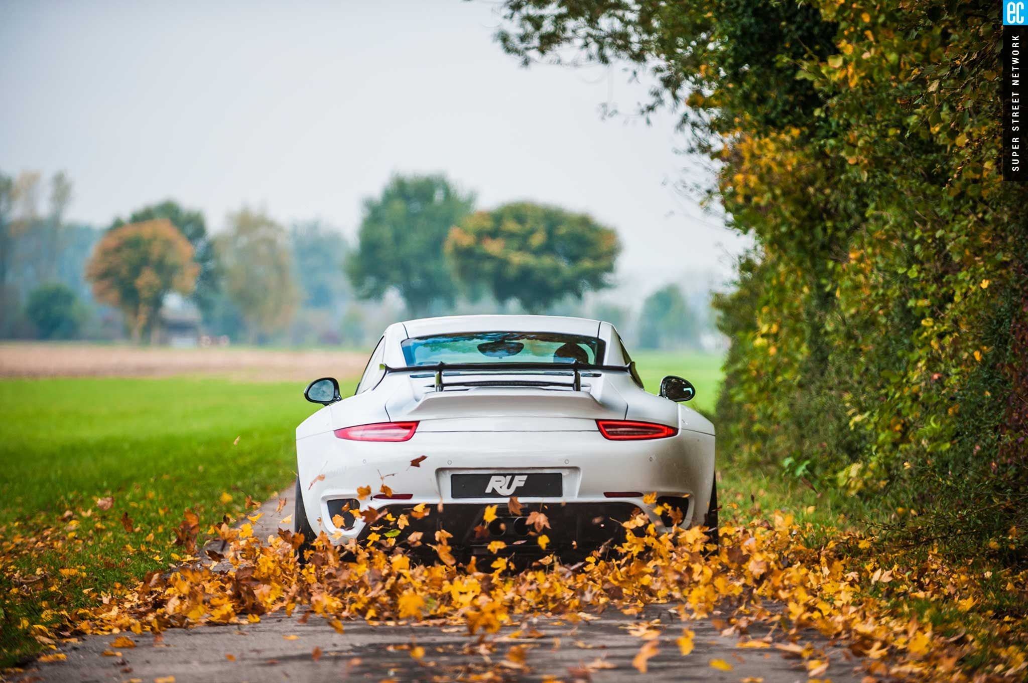 porsche 911, porsche, cars, white, autumn, HD Wallpaper