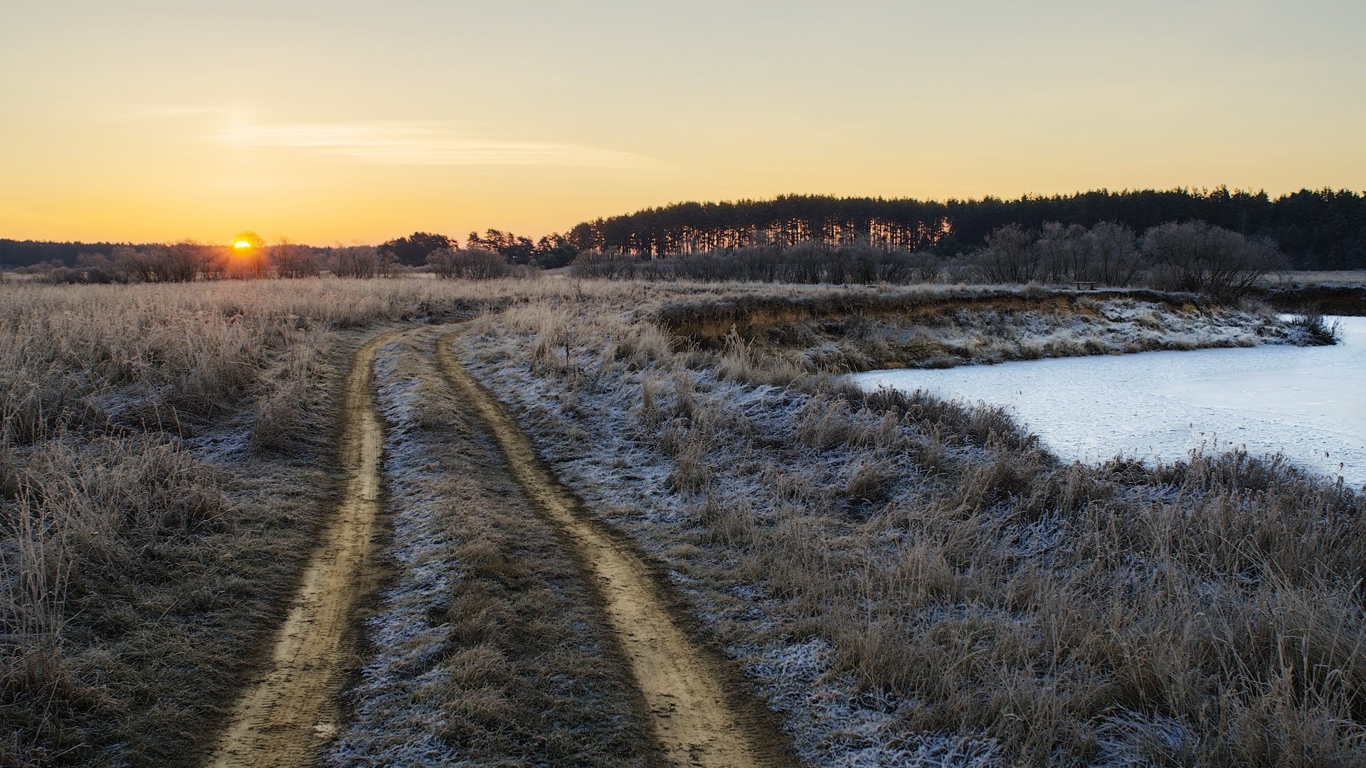 nature, path, HD Wallpaper