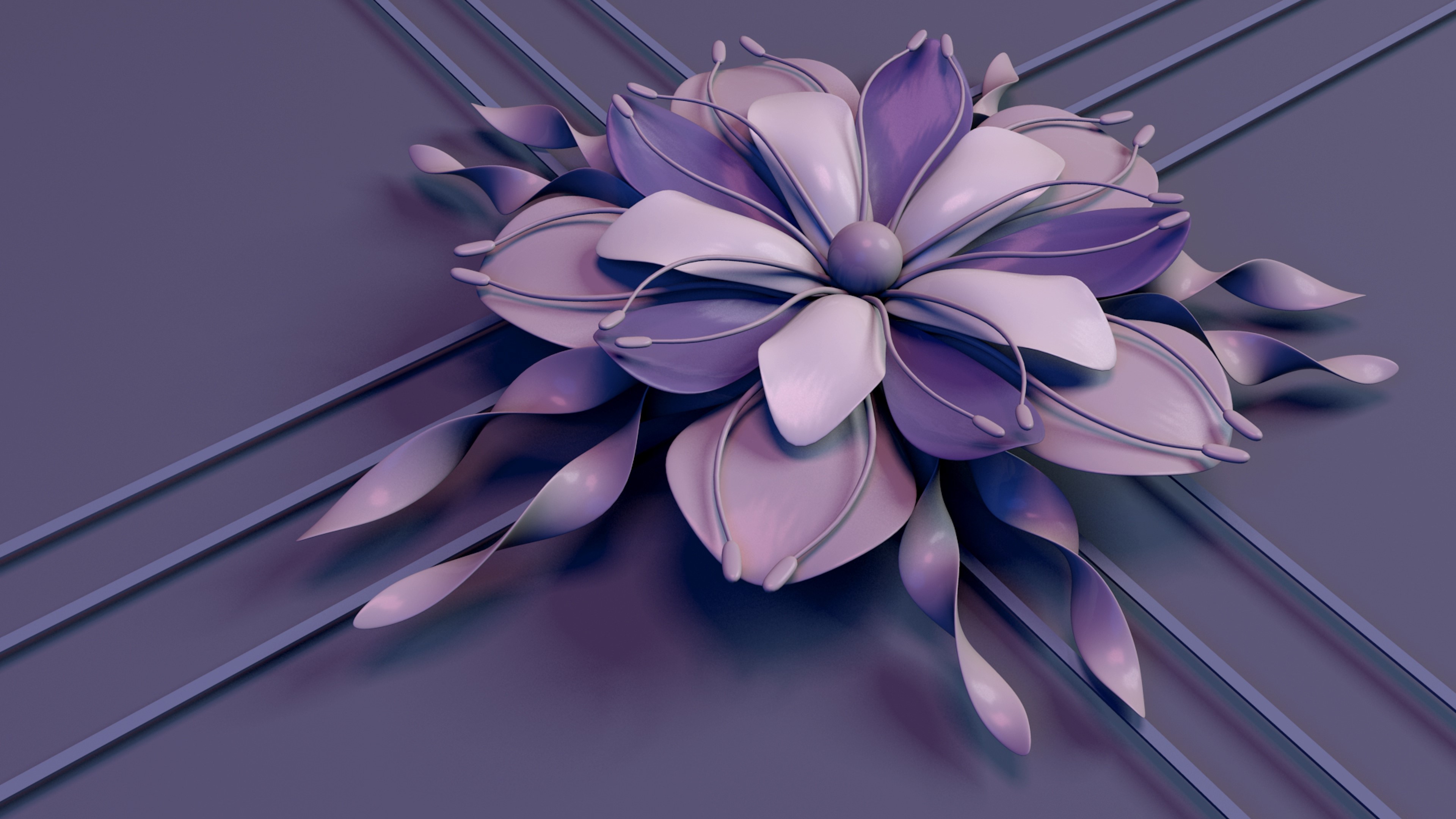 abstract, petals, HD Wallpaper