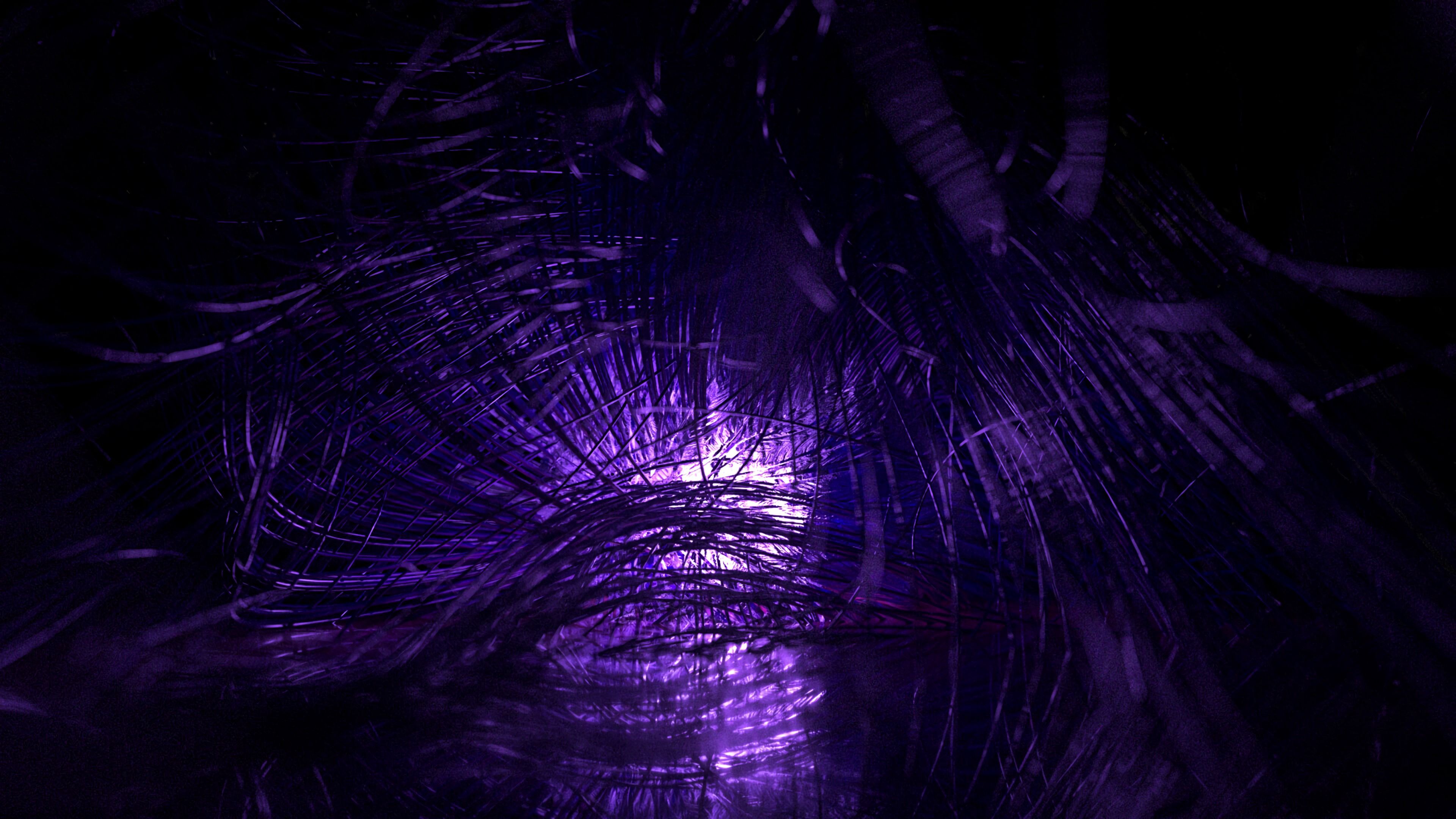 threads, tangled, glow, purple, macro, 4k, HD Wallpaper