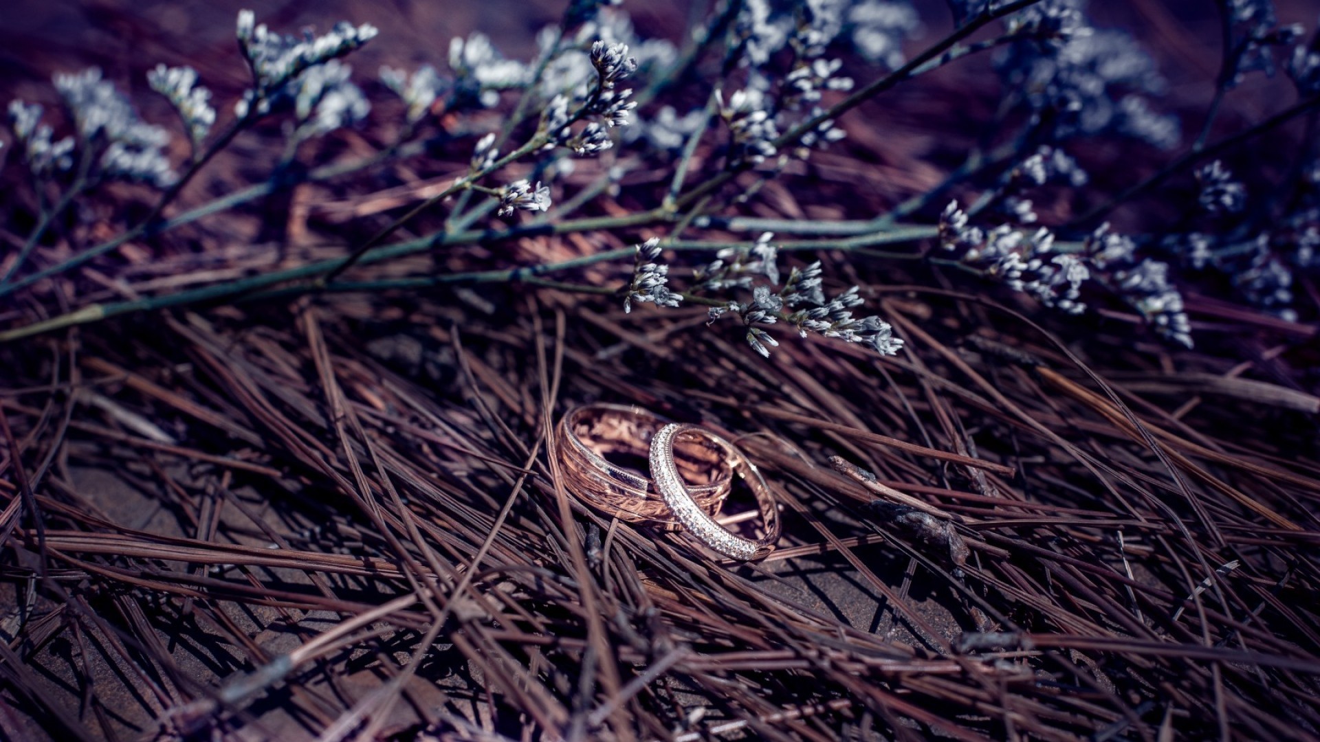 weeding couple, love, heart, ring, HD Wallpaper
