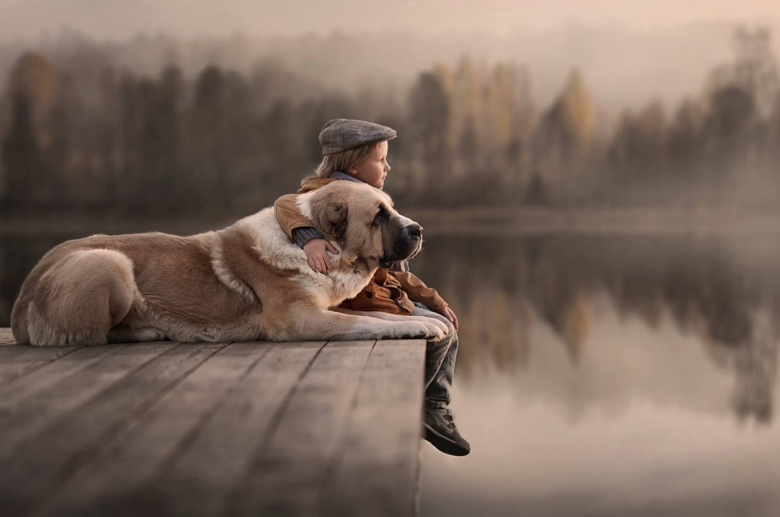 kids, animals, dog, love, HD Wallpaper