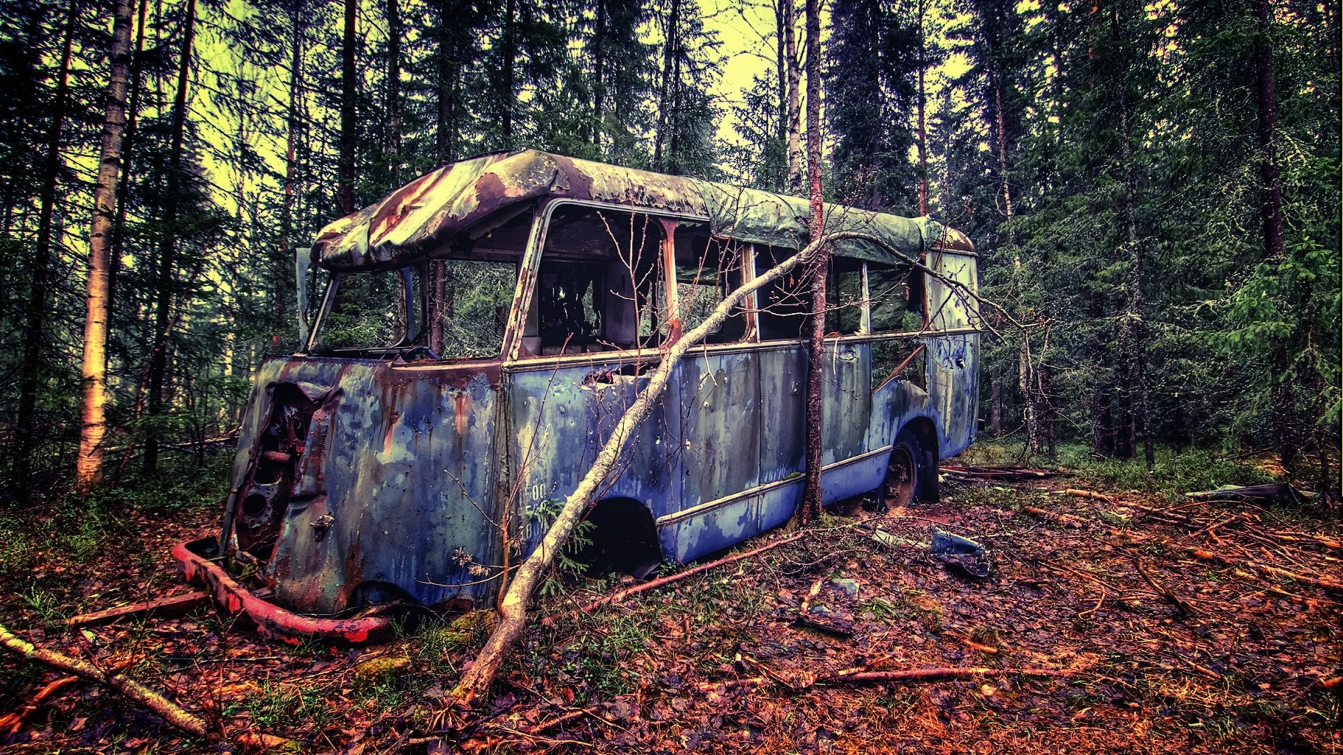 vintage, bus, forest, HD Wallpaper