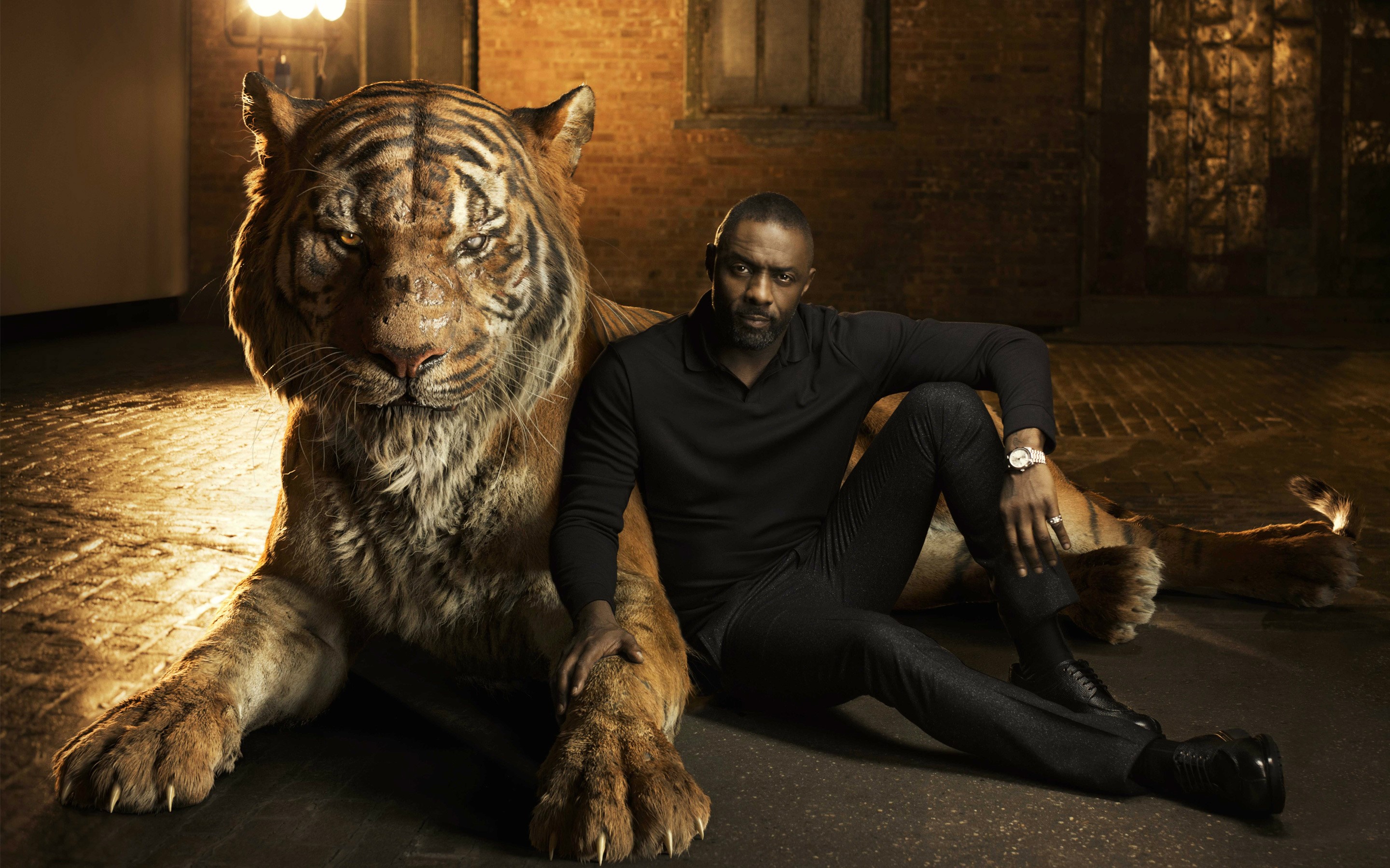 the jungle book, movies, animated movies, 2016 movies, tiger, HD Wallpaper