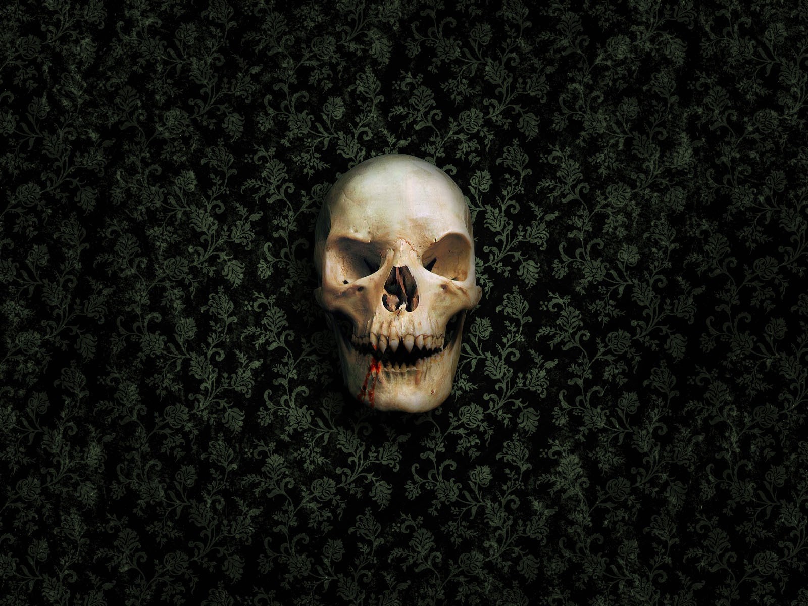 skull, artist, HD Wallpaper