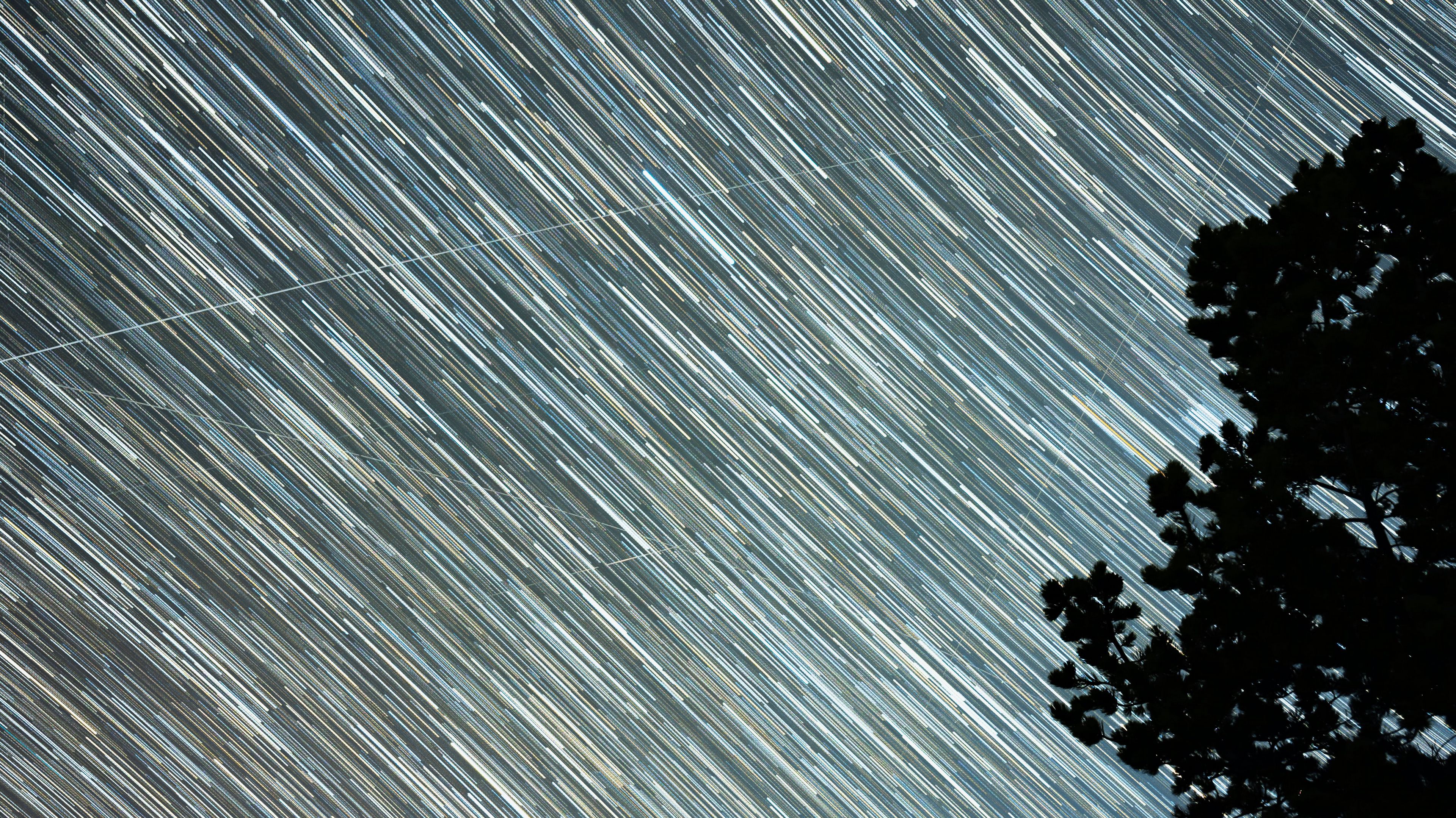 starry sky, starfall, stripes, trees, silhouette, 4k, HD Wallpaper
