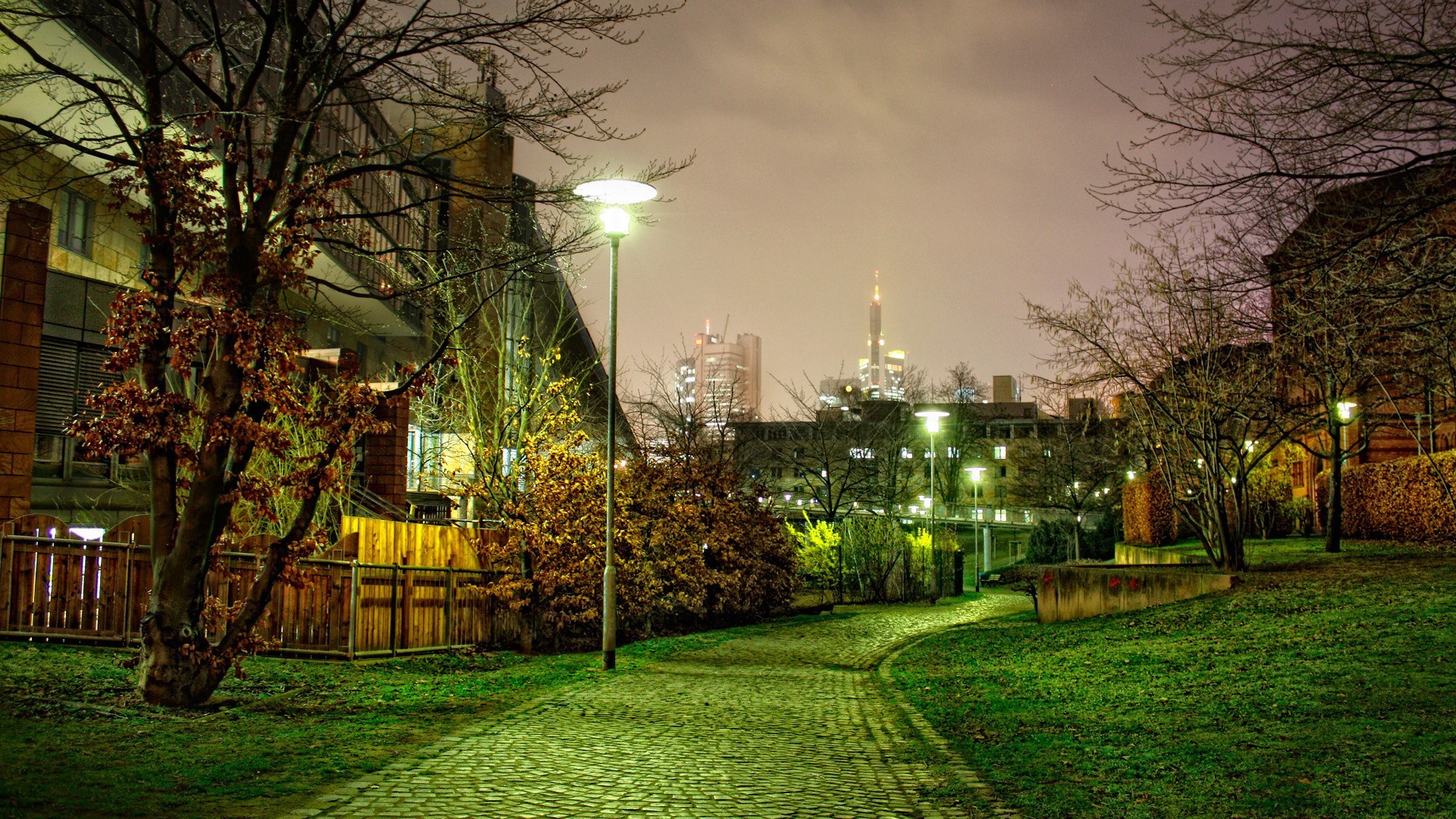 street, photography, trees, HD Wallpaper