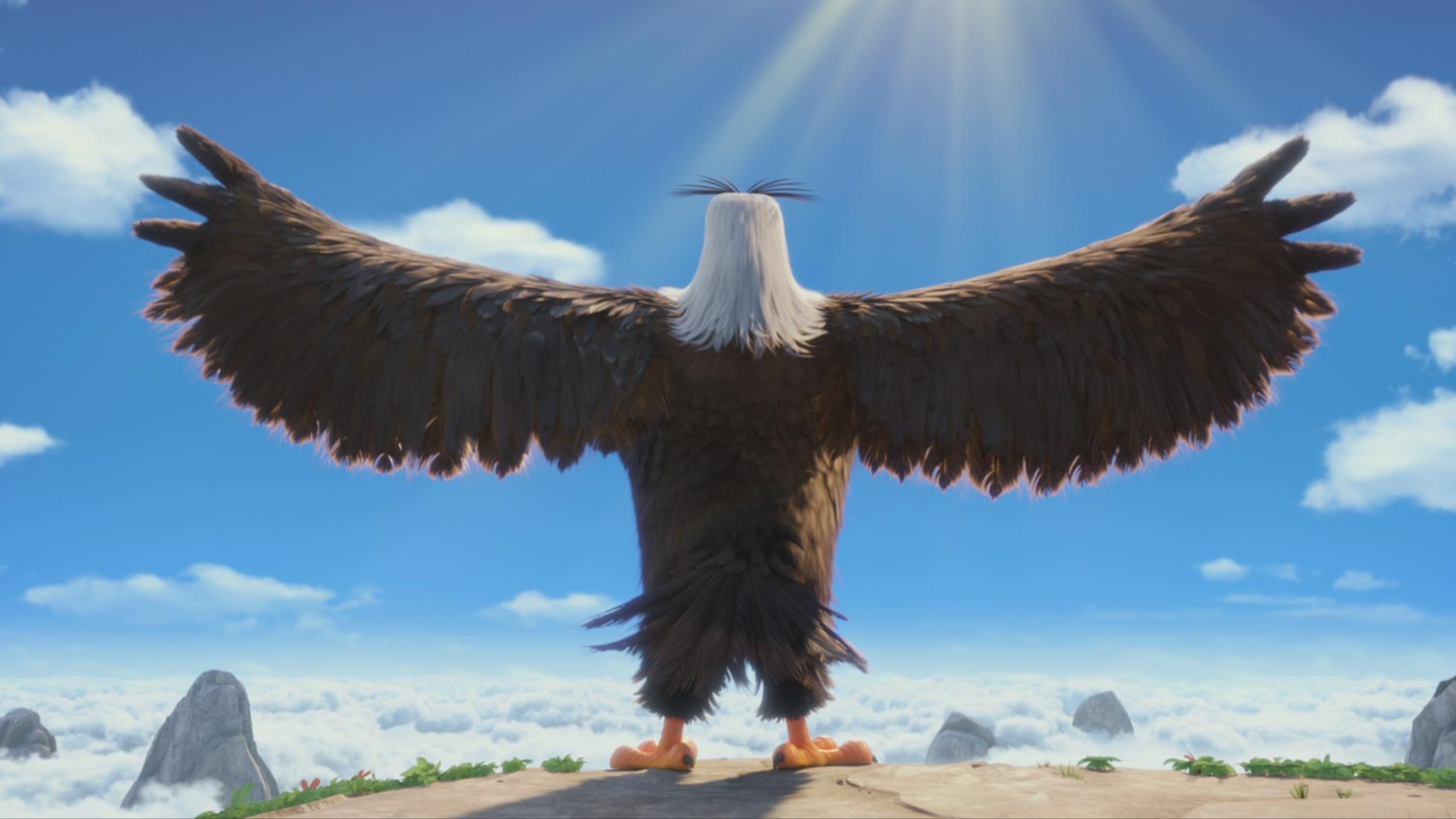 angry birds, birds, movies, animated movies, 2016 movies, the angry birds movie, HD Wallpaper
