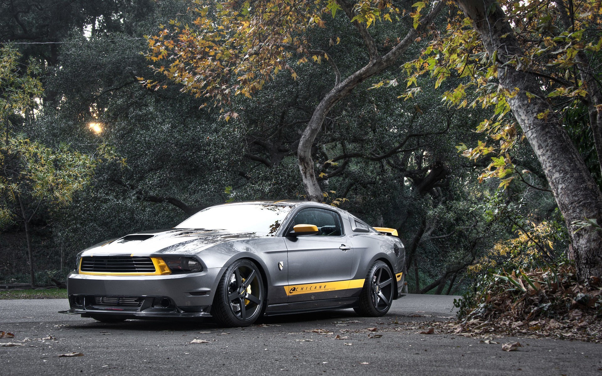 ford mustang, cars, HD Wallpaper