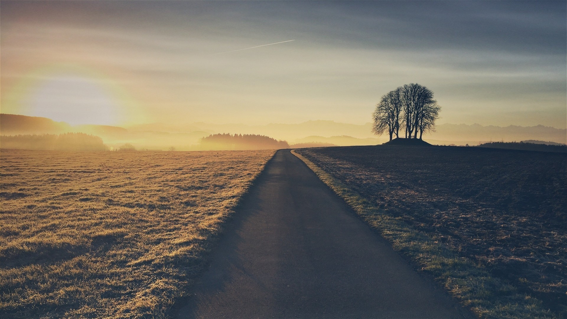 road, nature, HD Wallpaper