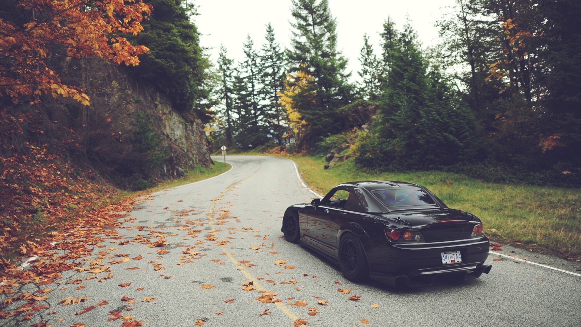 honda, cars, HD Wallpaper