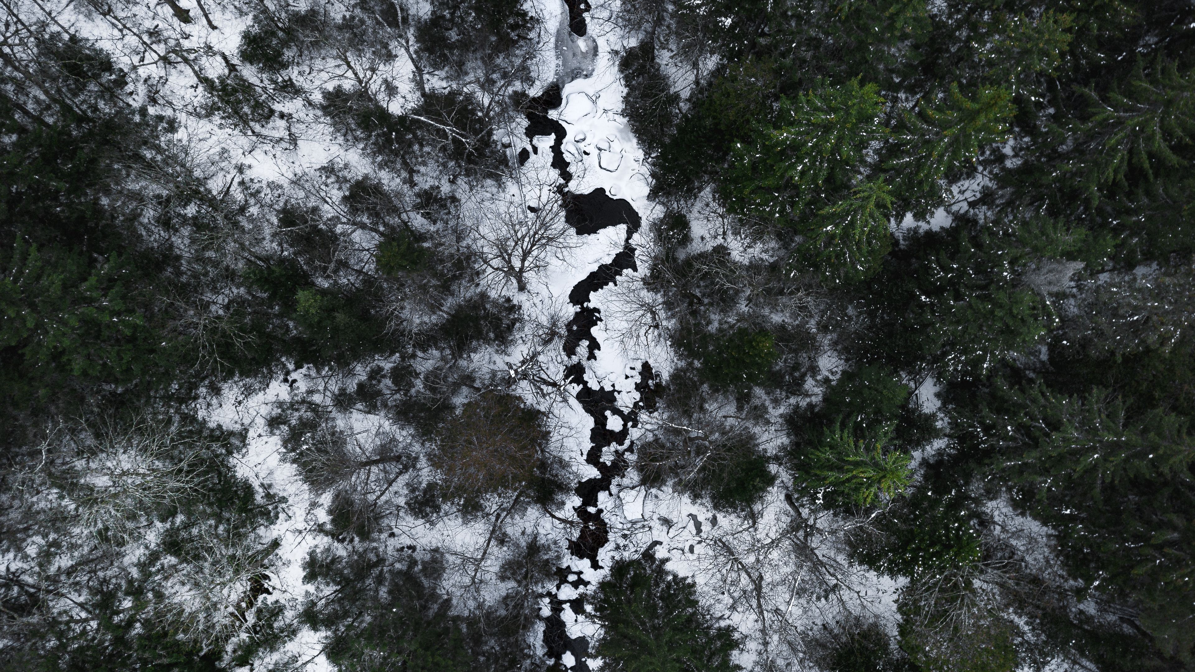 river, forest, aerial view, snow, winter, 4k, HD Wallpaper