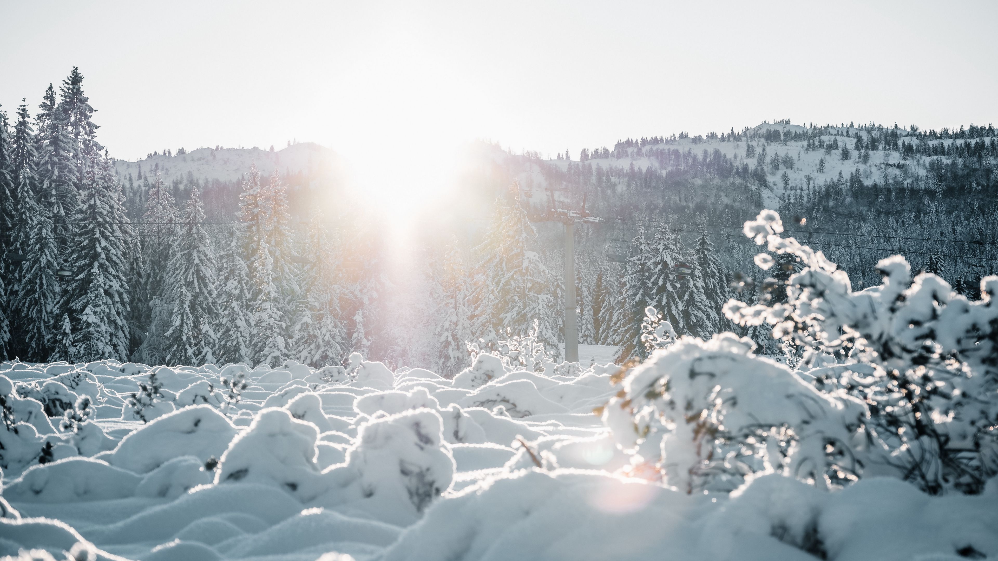 snow, trees, sunlight, winter, landscape, 4k, HD Wallpaper