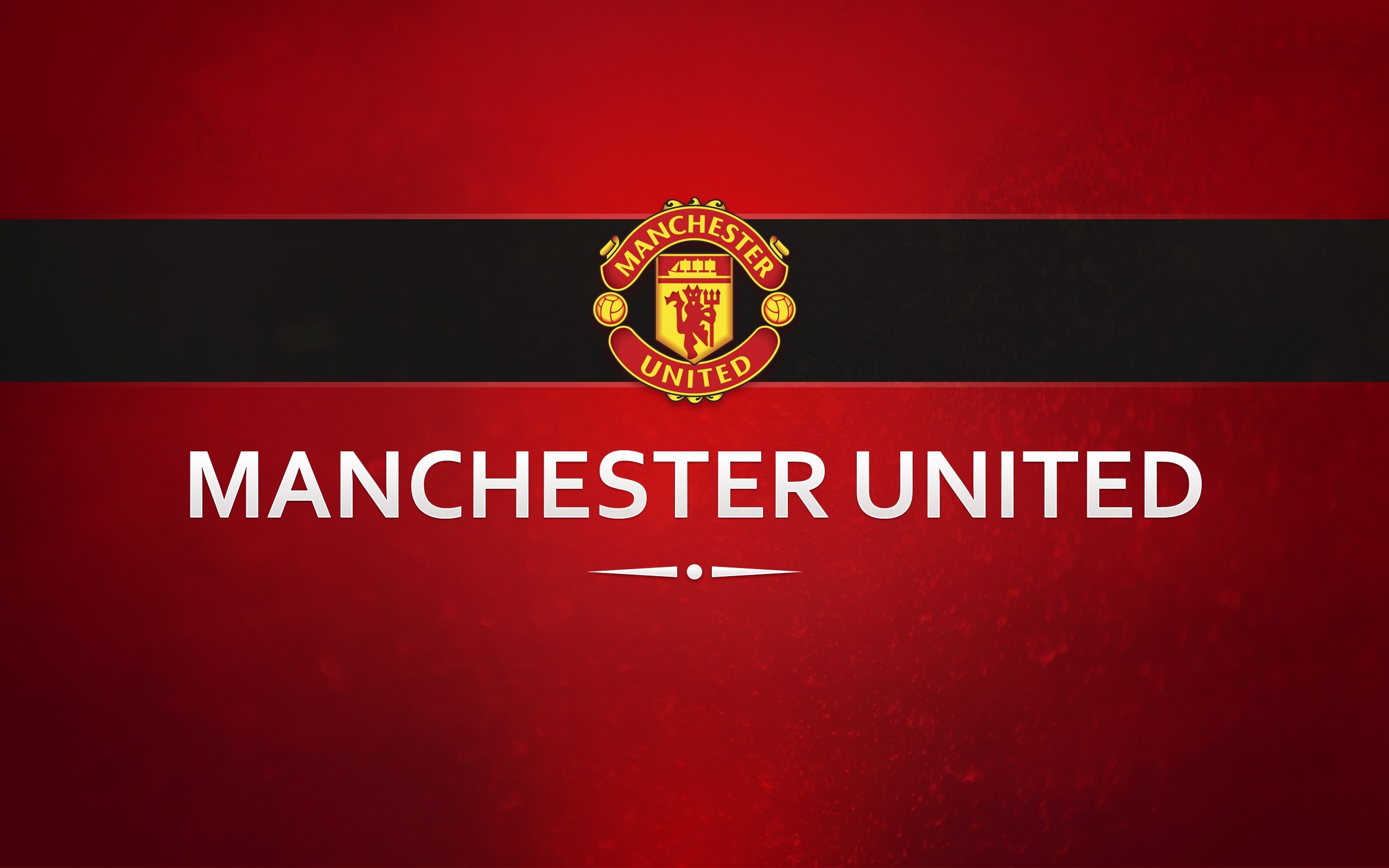 manchester united, mc, football, soccer, HD Wallpaper