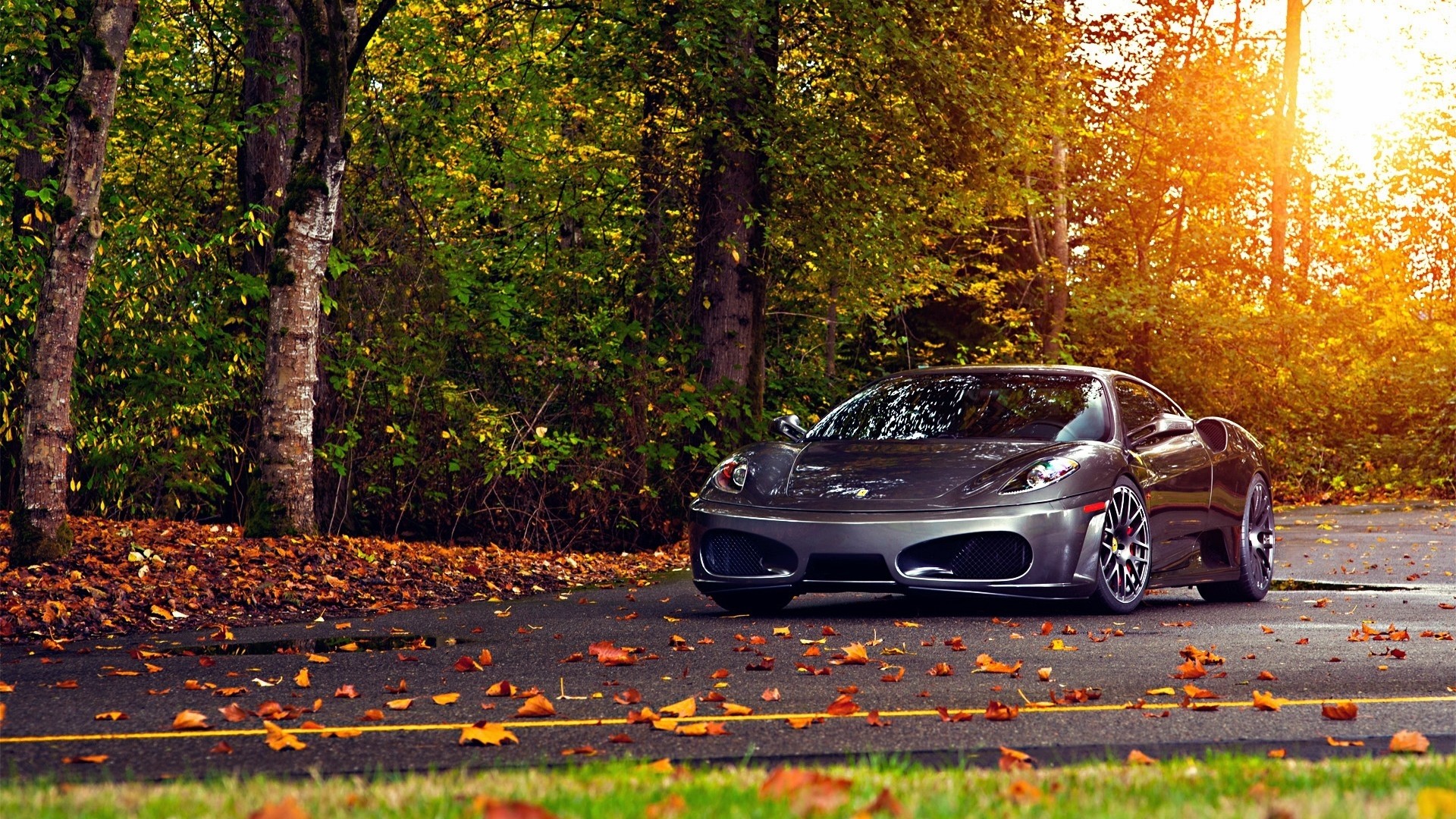 ferrari, cars, autumn, HD Wallpaper
