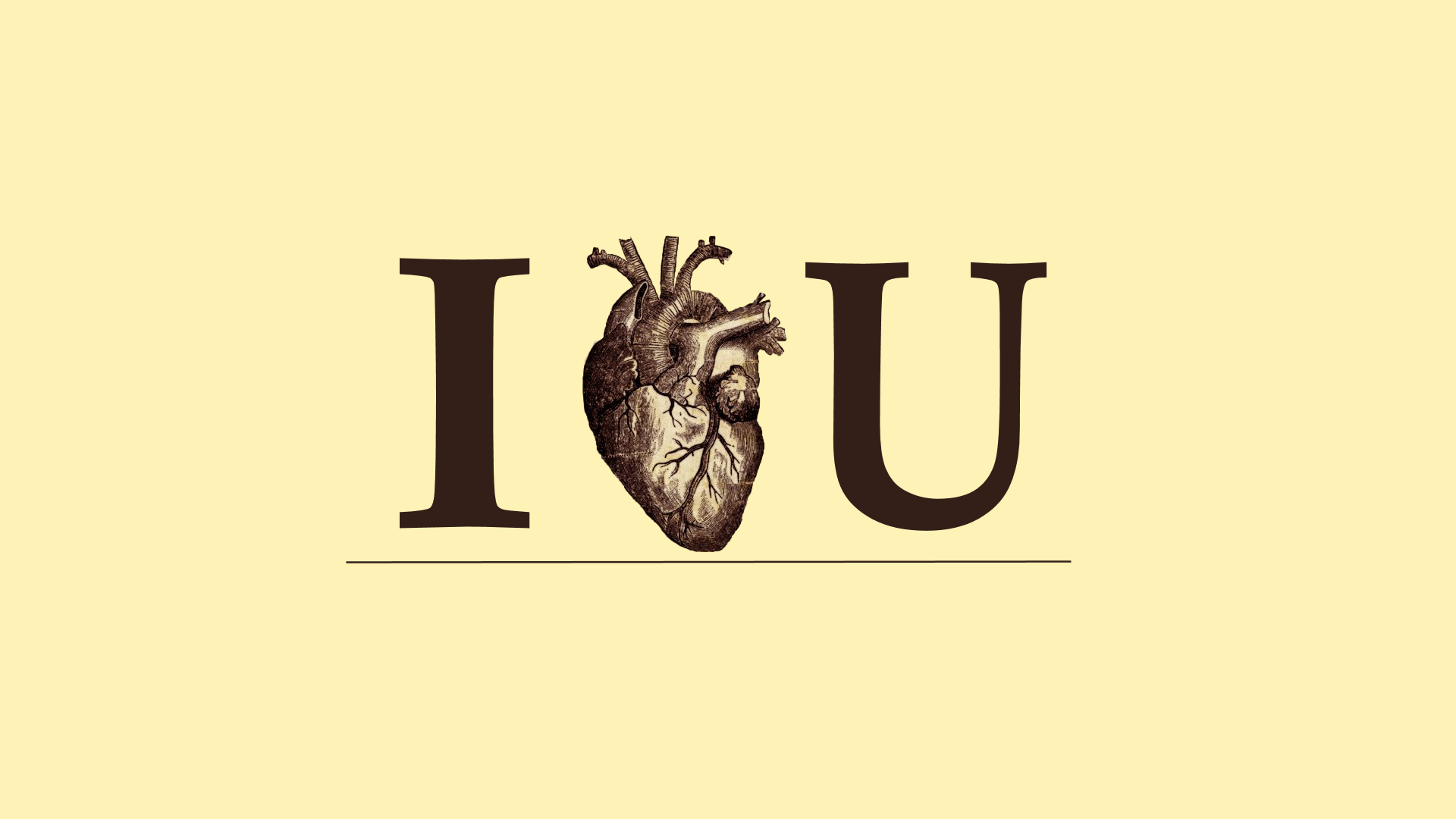 love, i love you, HD Wallpaper
