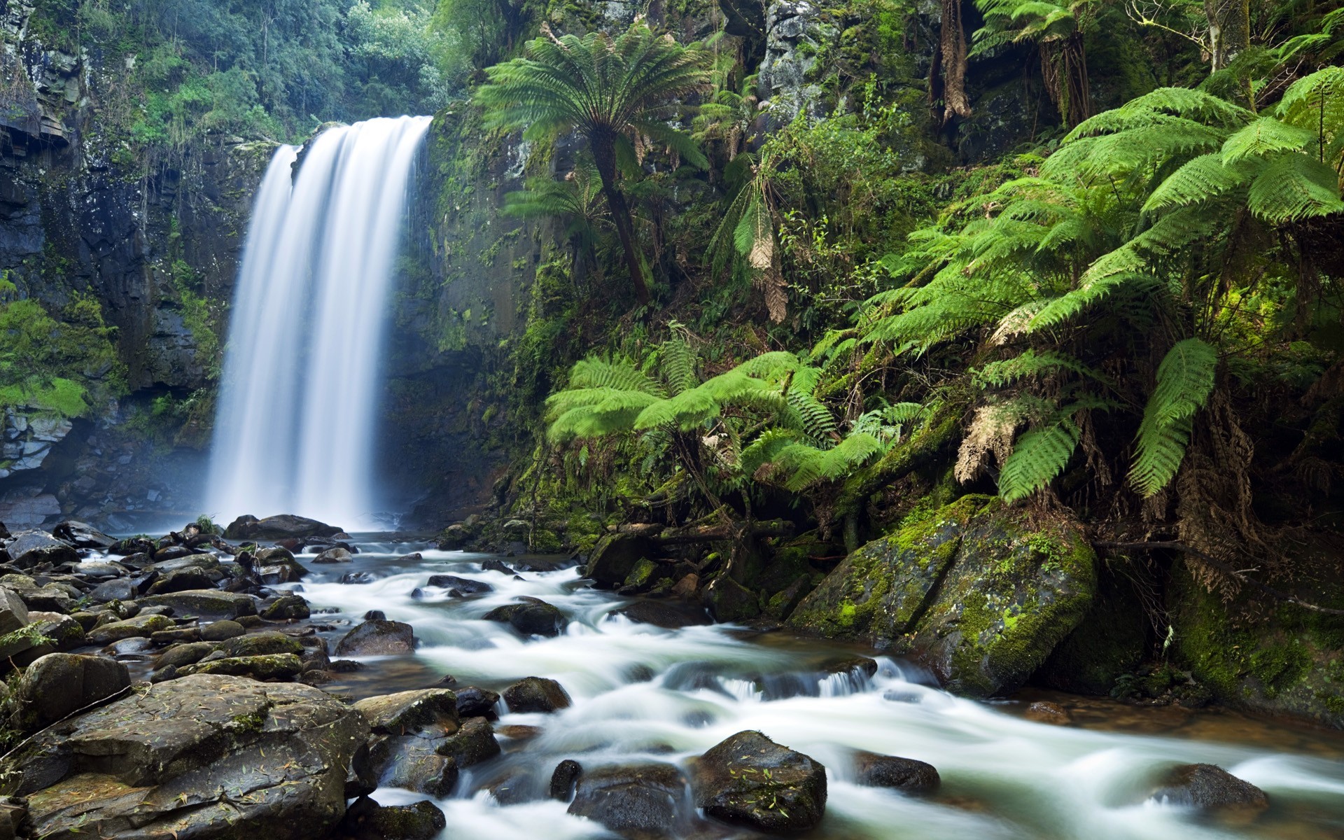 nature, waterfall, HD Wallpaper