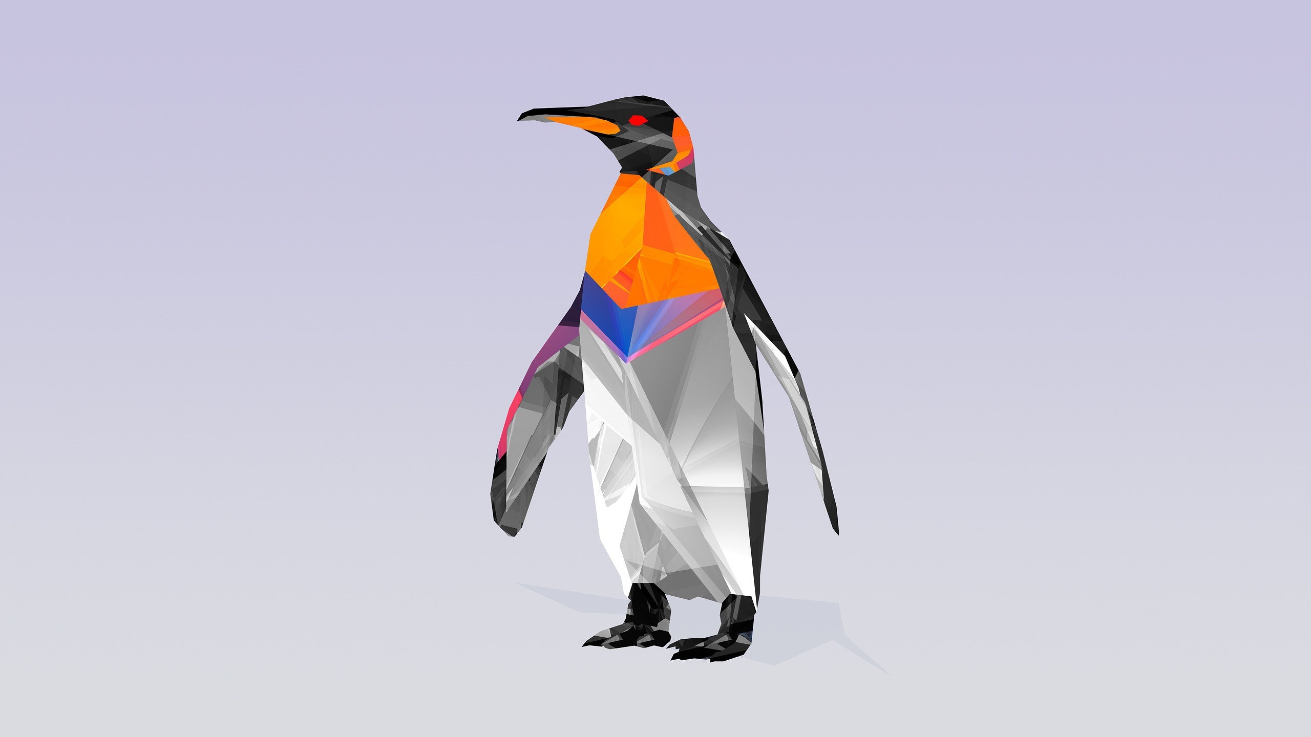 penguin, birds, abstract, HD Wallpaper