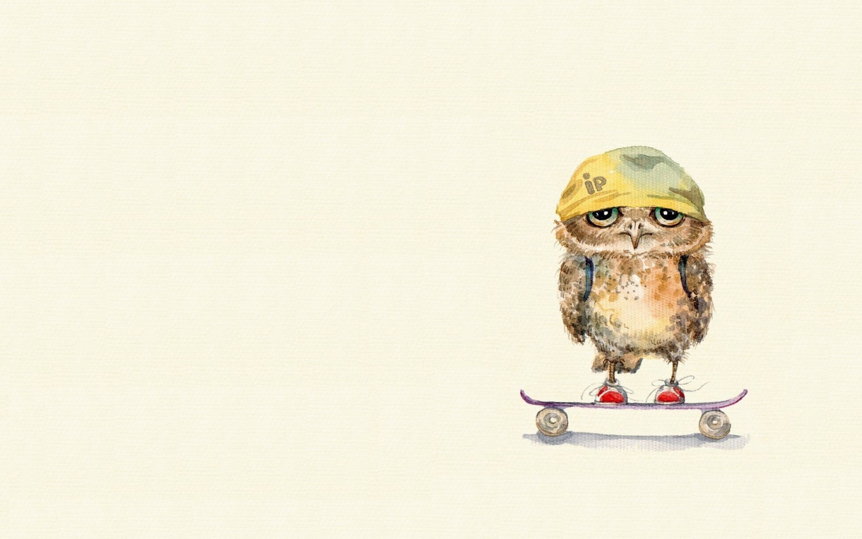 skateboard, owl, artist, funny, HD Wallpaper