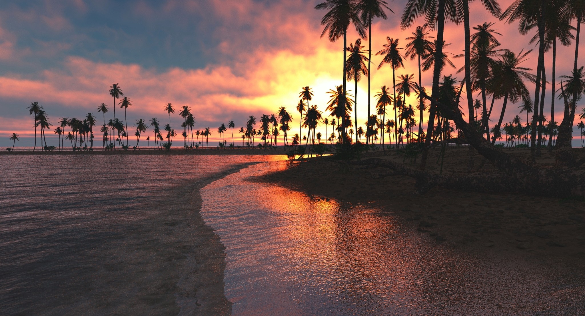 trees, palm, nature, sunset, sea, HD Wallpaper