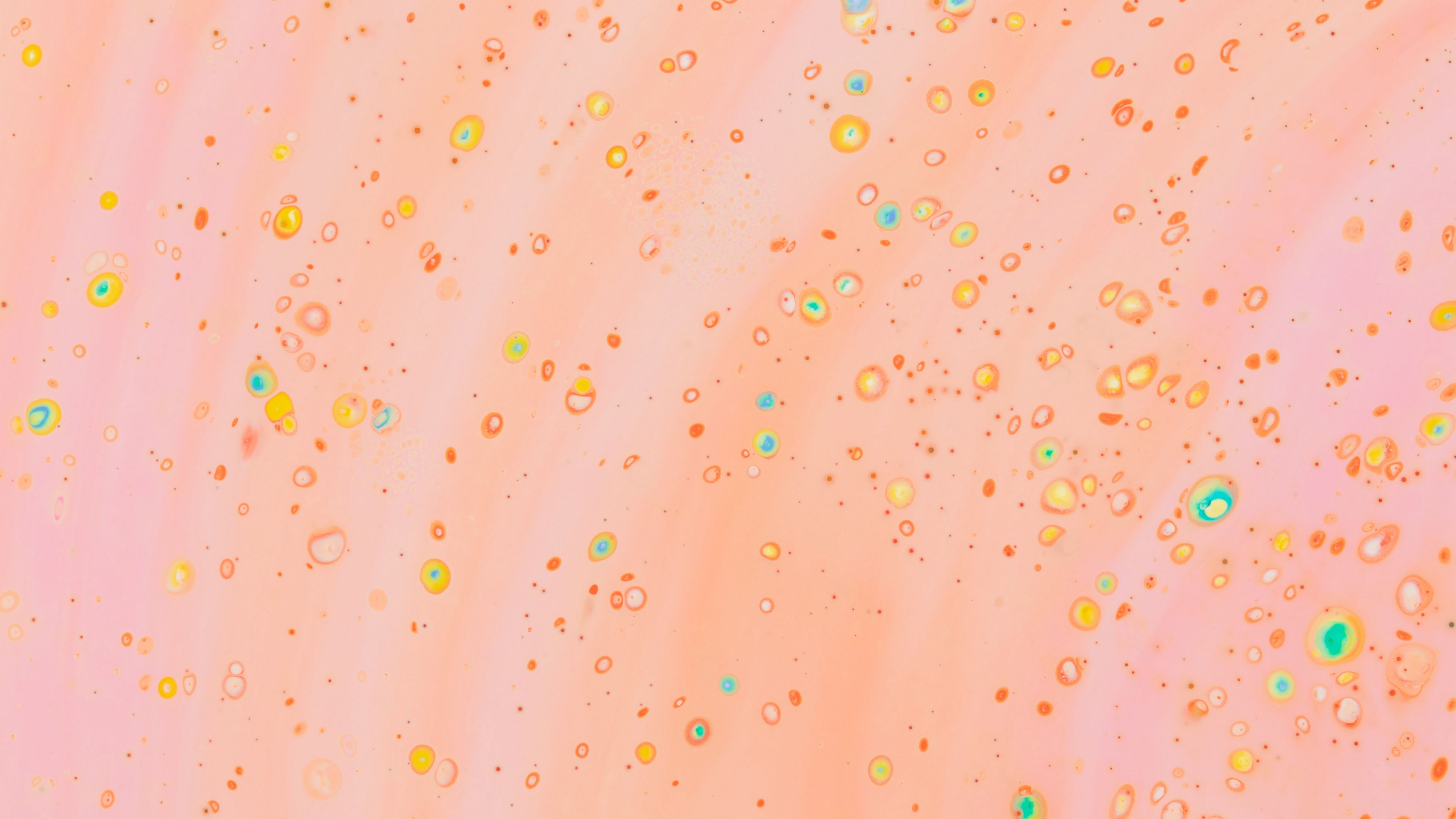 spots, paint, spray, multi-colored, pink, 4k, HD Wallpaper