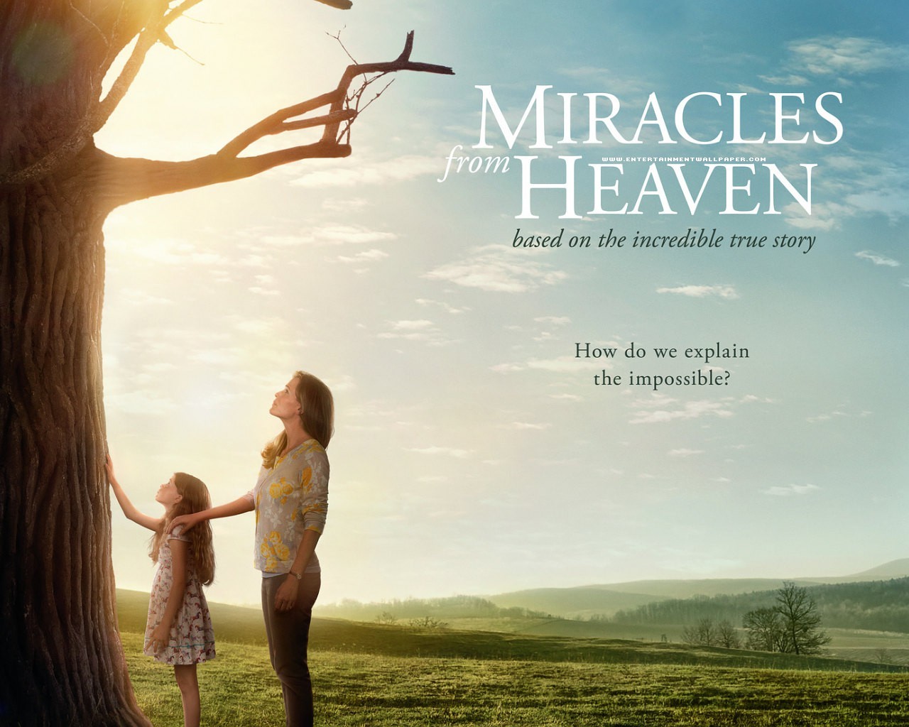 movies, 2016 movies, HD Wallpaper