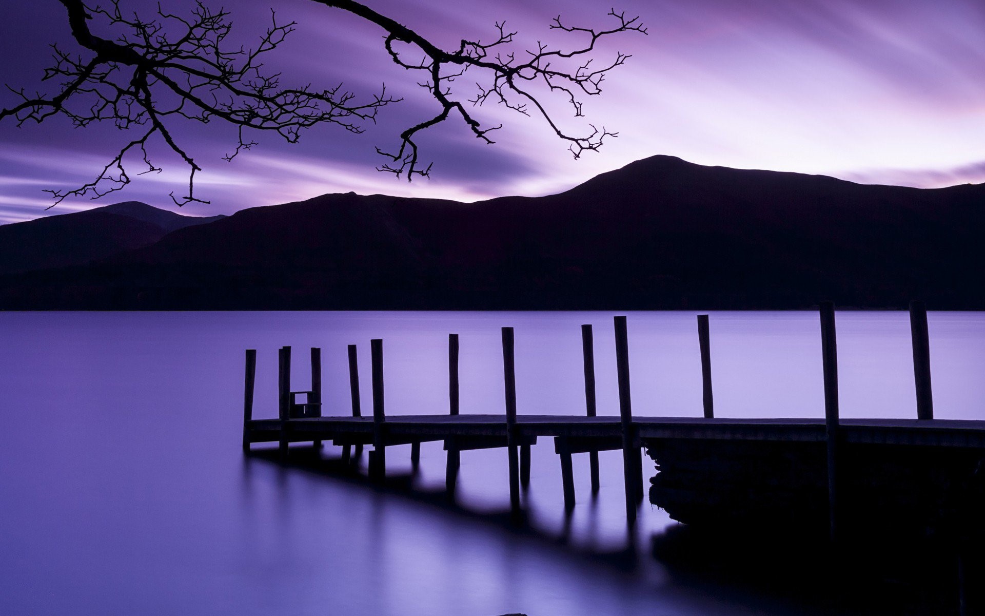 purple, dusk, nature, HD Wallpaper