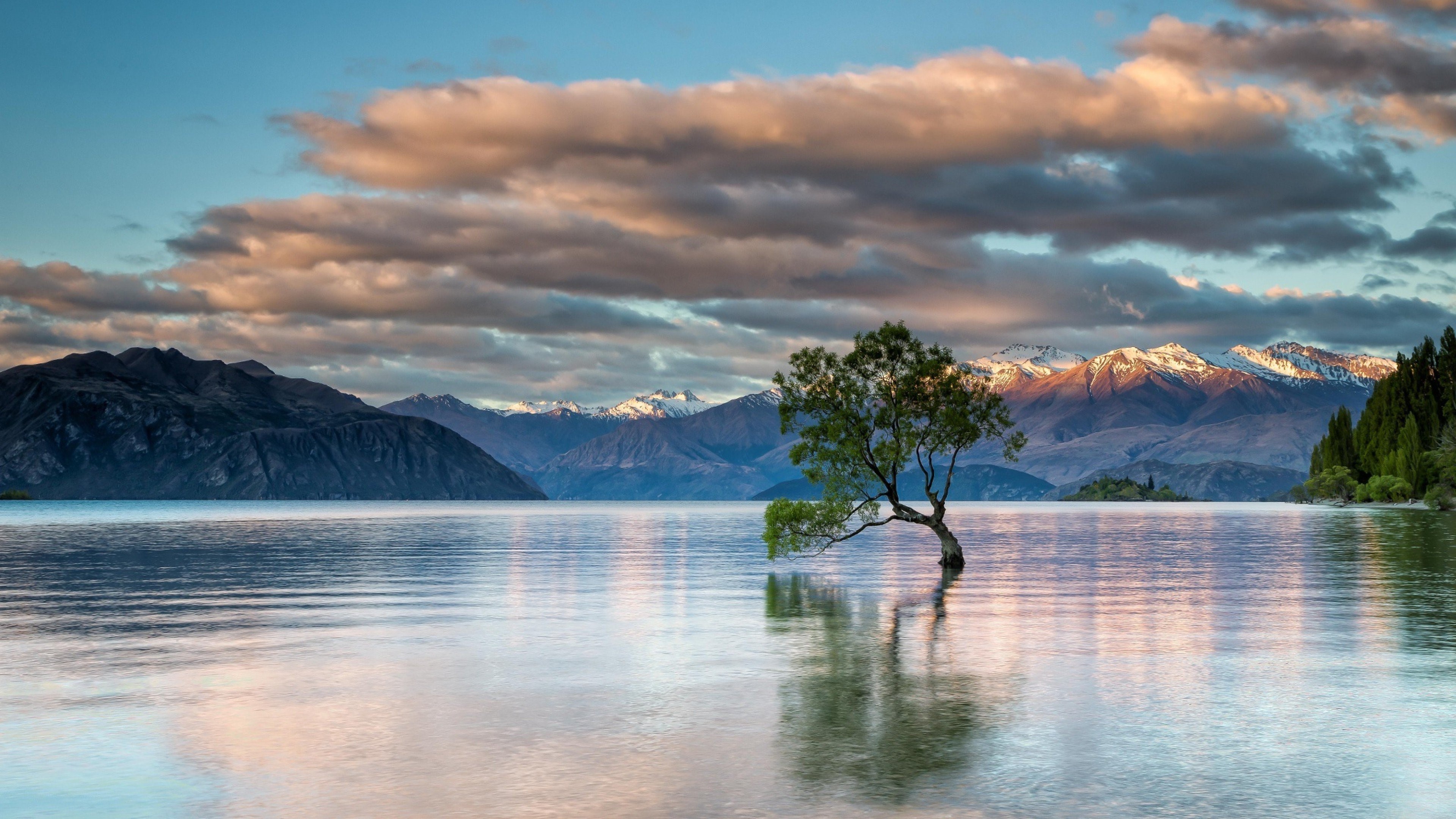 tree, lake, nature, mountains, hd, HD Wallpaper