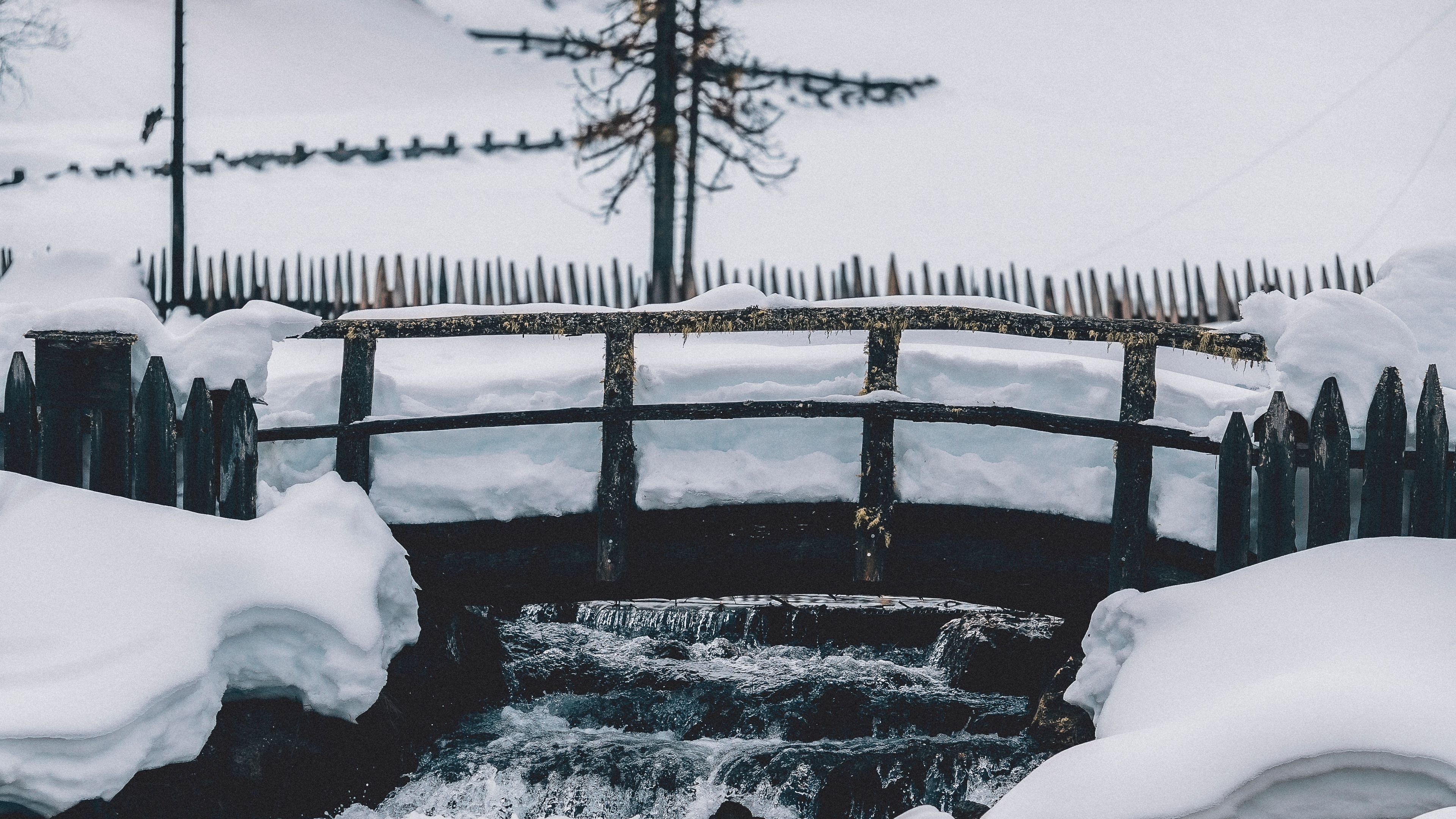 bridge, snow, winter, tree, 4k, HD Wallpaper