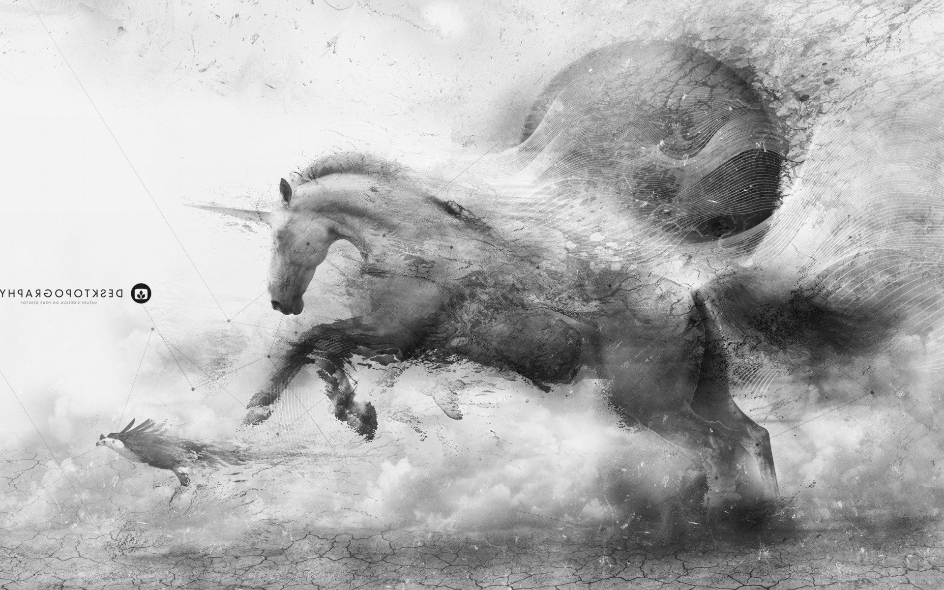 animals, horse, HD Wallpaper